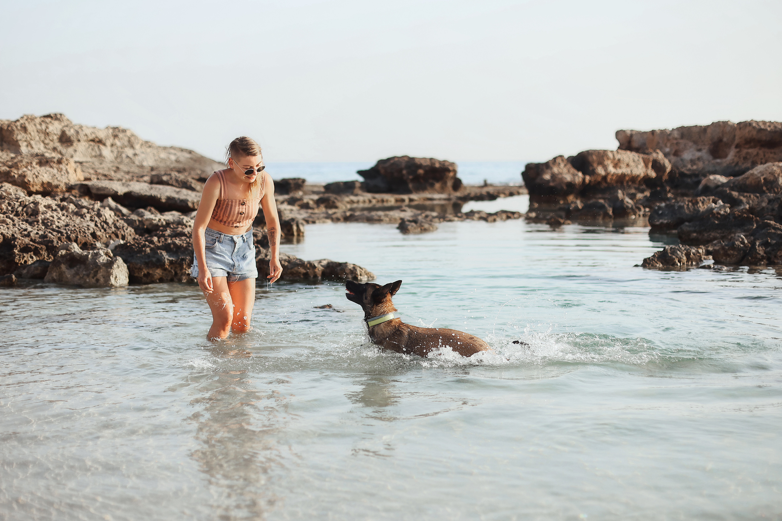 Photoshoot with a pet, Ayia Napa. May, 2022. Home