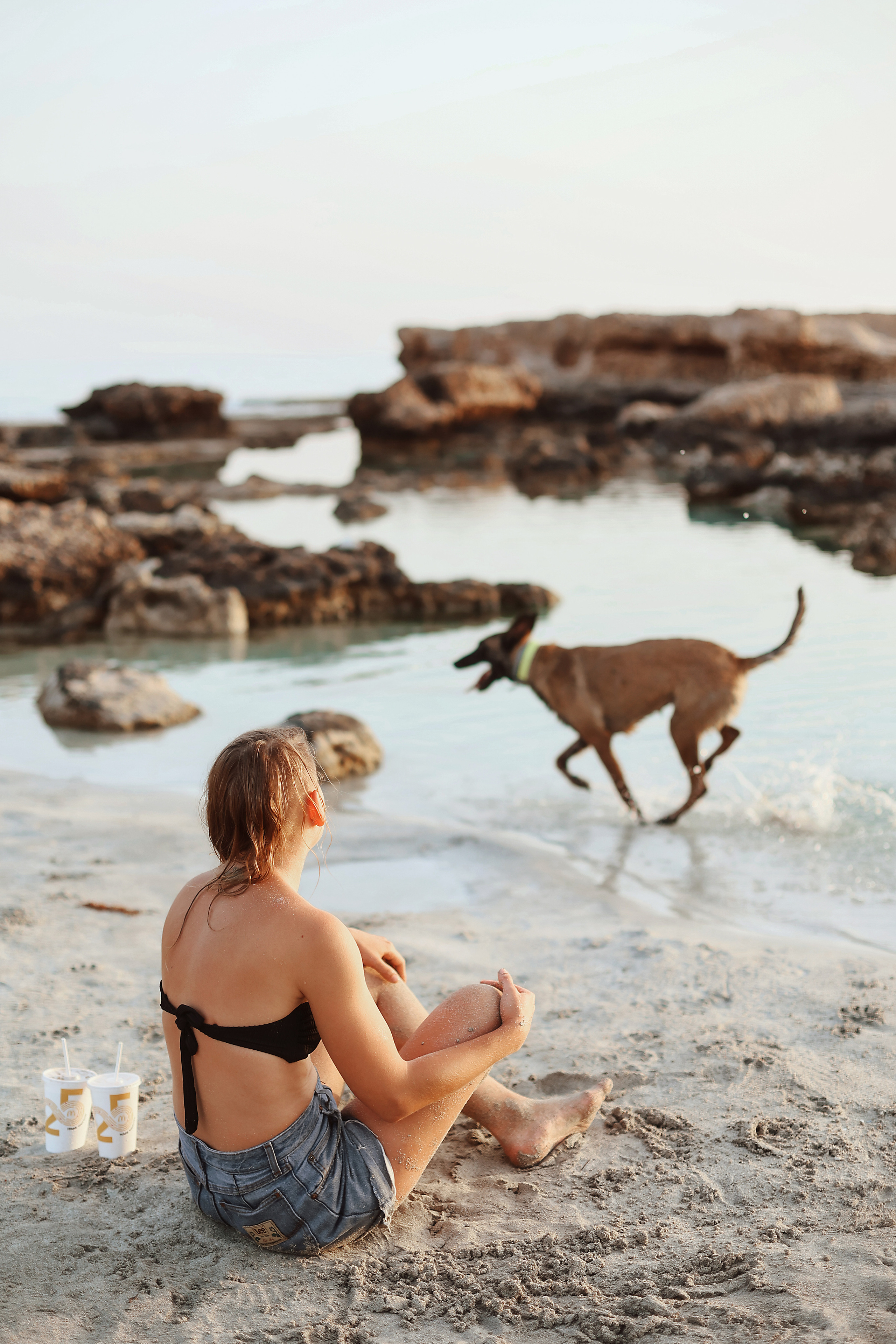 Photoshoot with a pet, Ayia Napa. May, 2022. Home