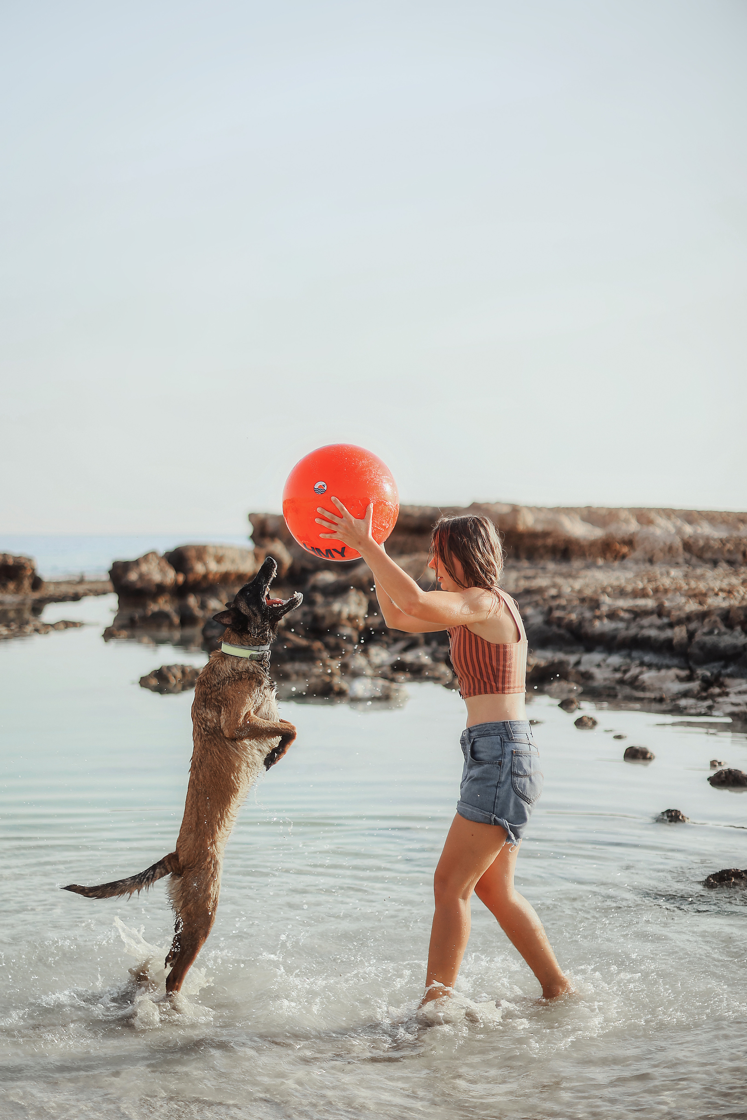 Photoshoot with a pet, Ayia Napa. May, 2022. Home