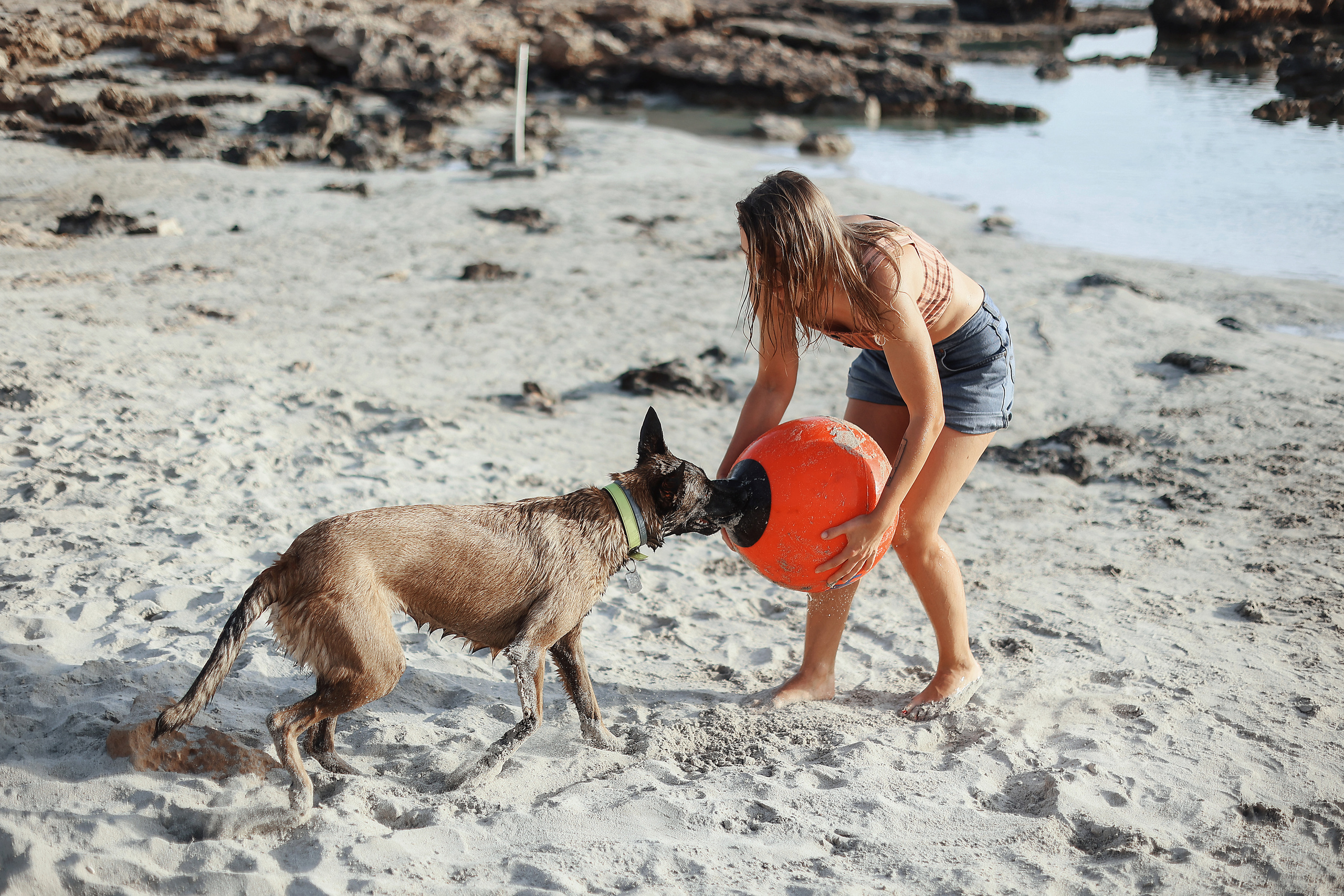 Photoshoot with a pet, Ayia Napa. May, 2022. Home