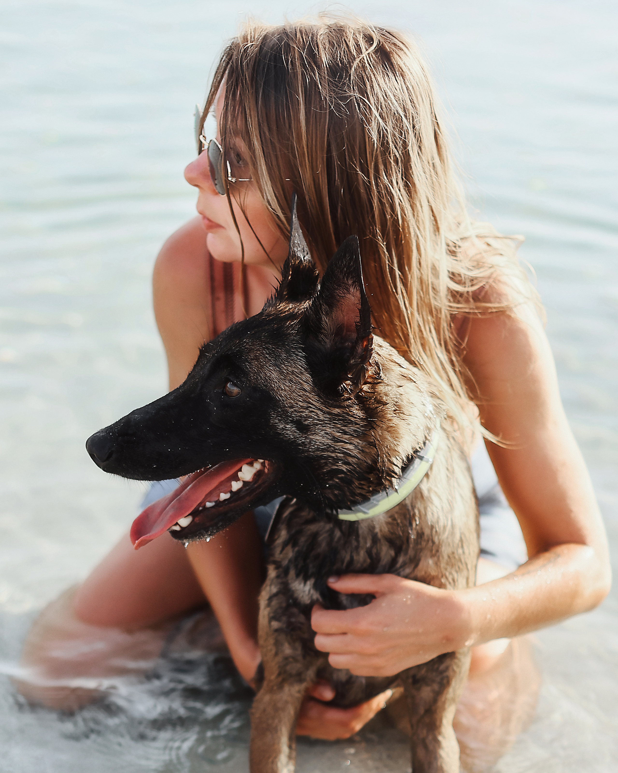 Photoshoot with a pet, Ayia Napa. May, 2022. Home