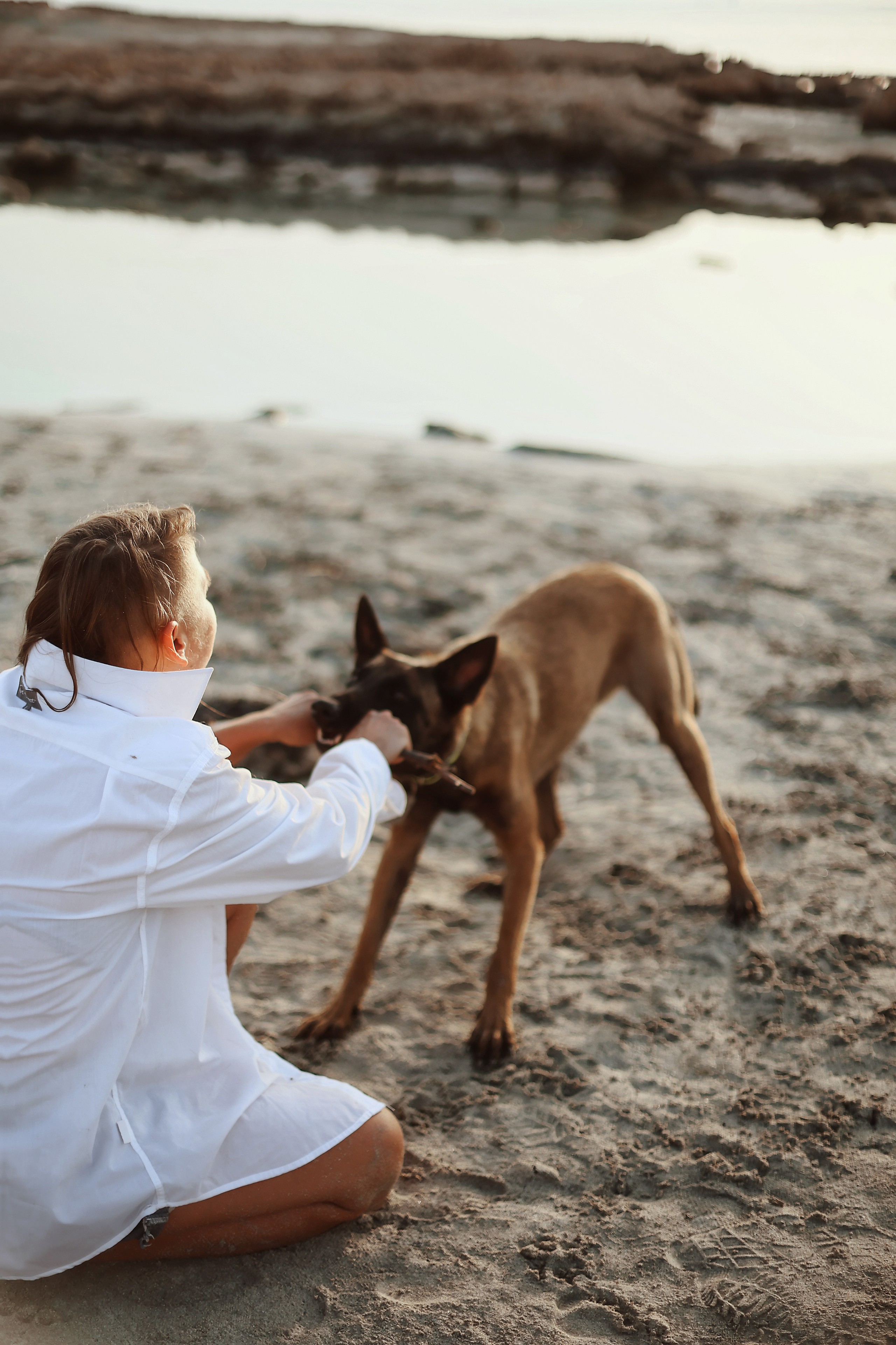 Photoshoot with a pet, Ayia Napa. May, 2022. Home