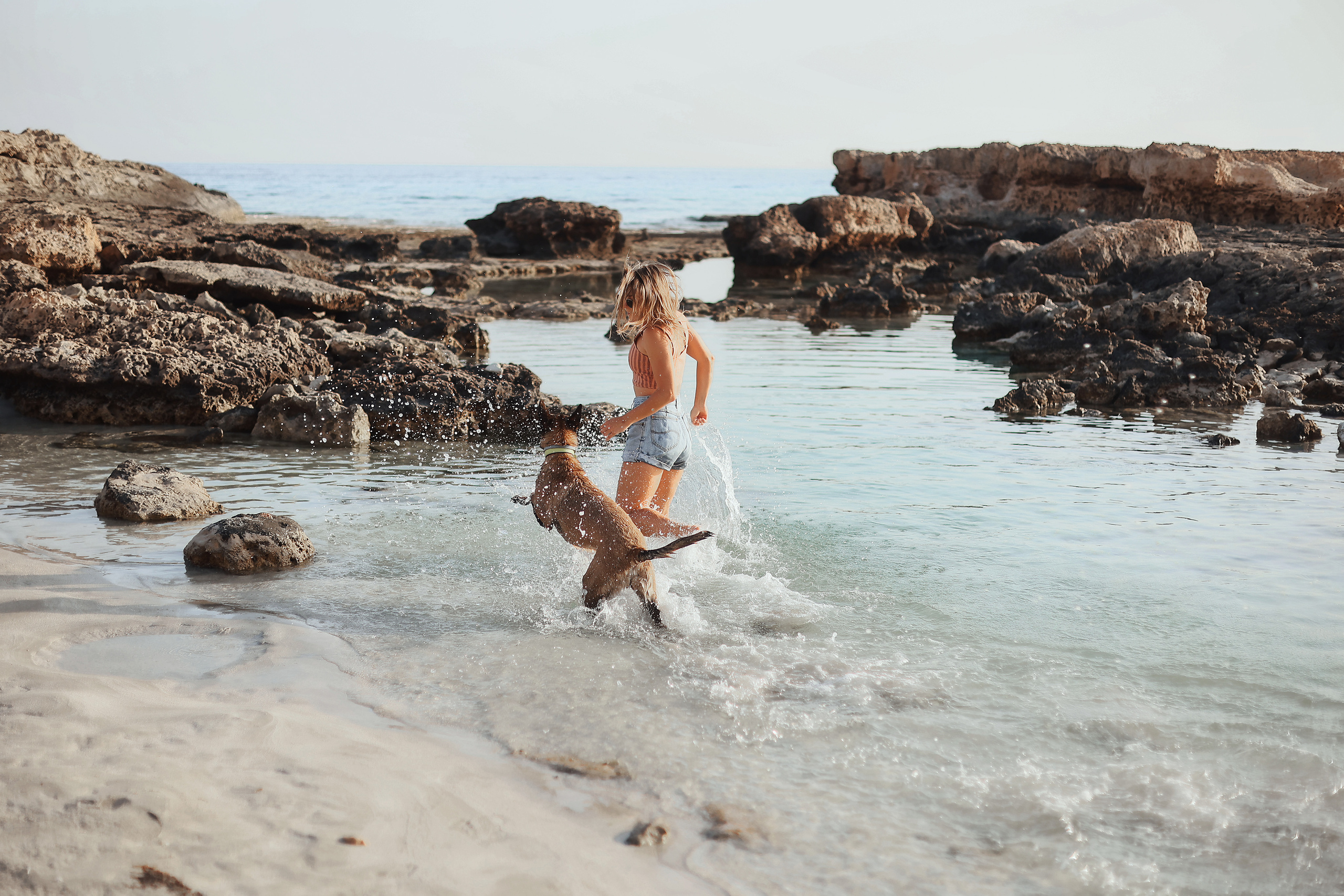 Photoshoot with a pet, Ayia Napa. May, 2022. Home