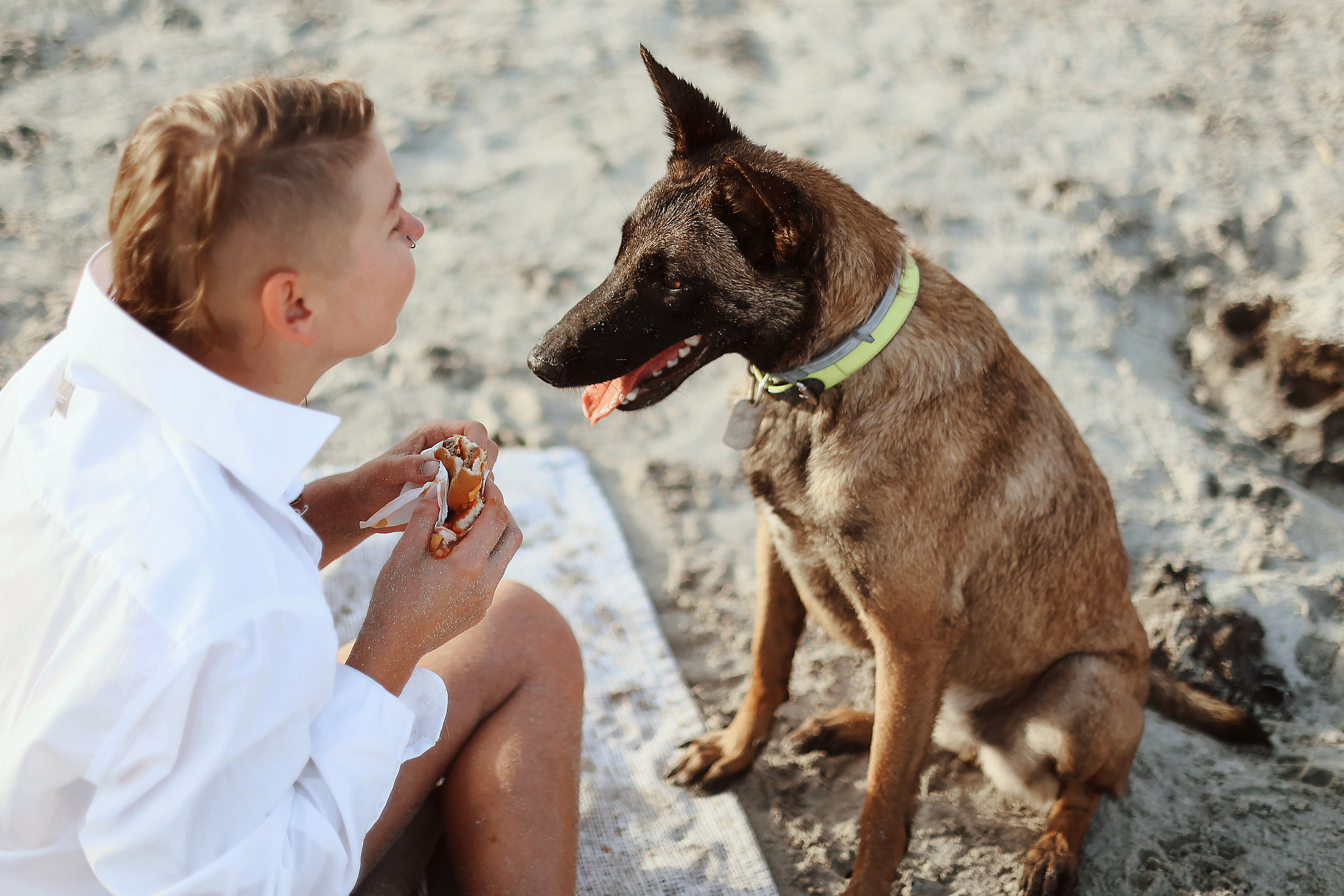 Photoshoot with a pet, Ayia Napa. May, 2022. Home