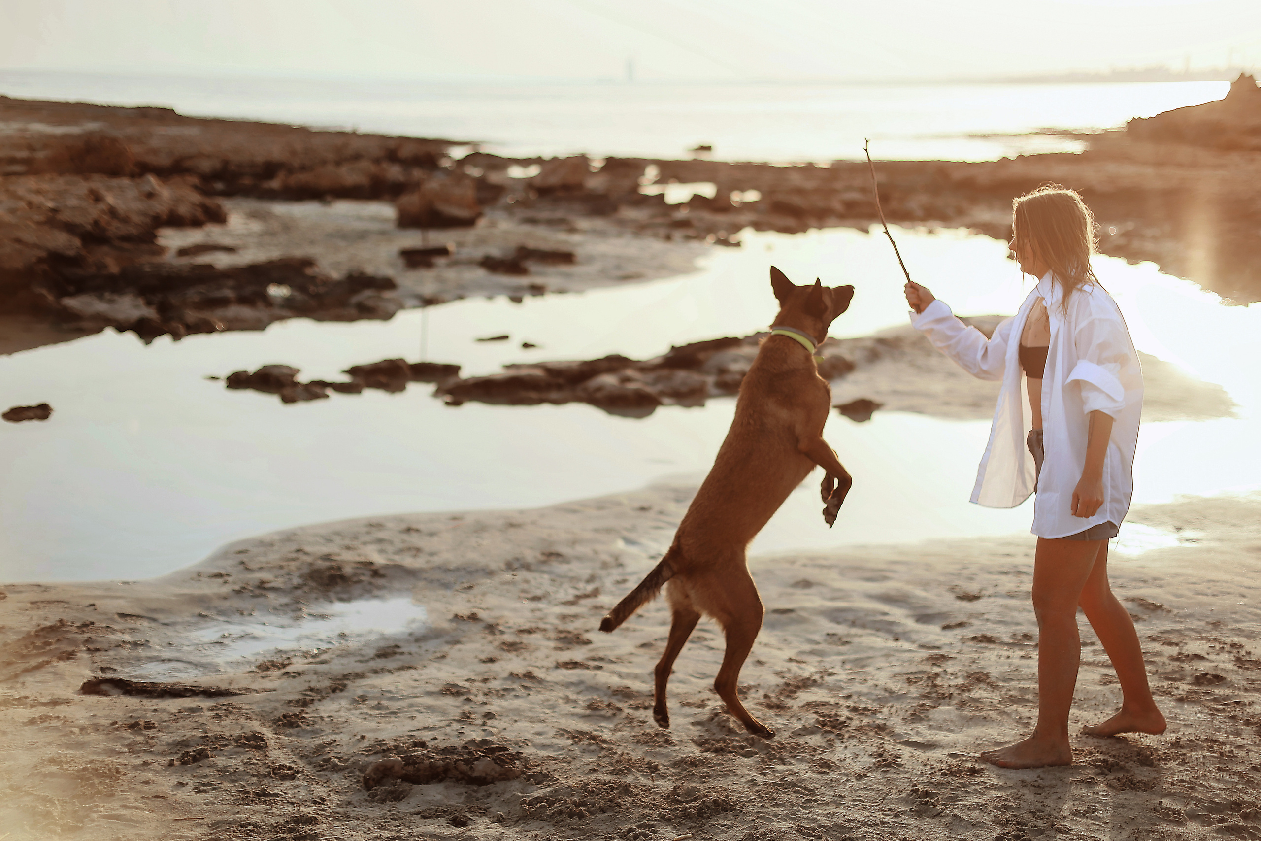 Photoshoot with a pet, Ayia Napa. May, 2022. Home