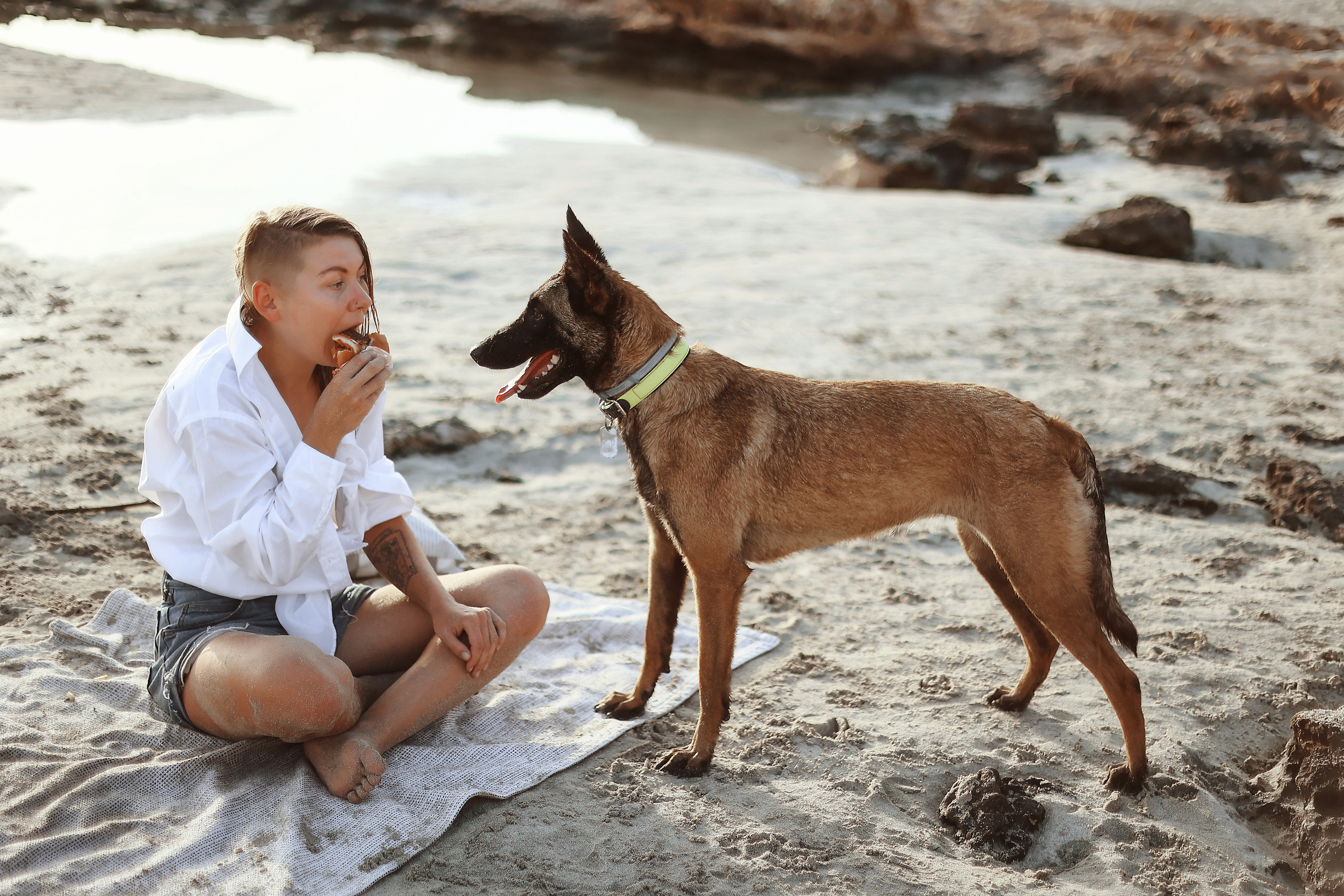 Photoshoot with a pet, Ayia Napa. May, 2022. Home