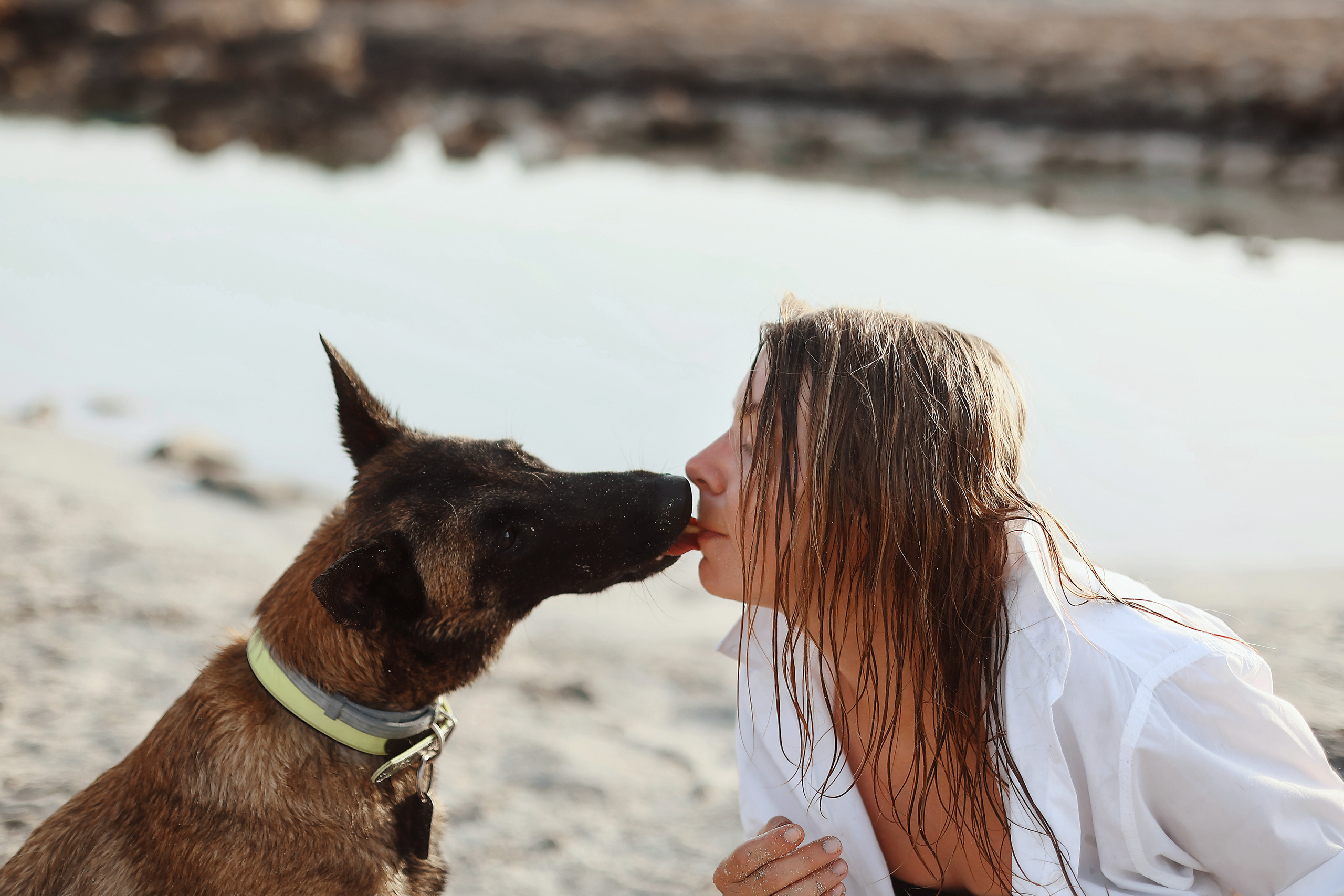 Photoshoot with a pet, Ayia Napa. May, 2022. Home