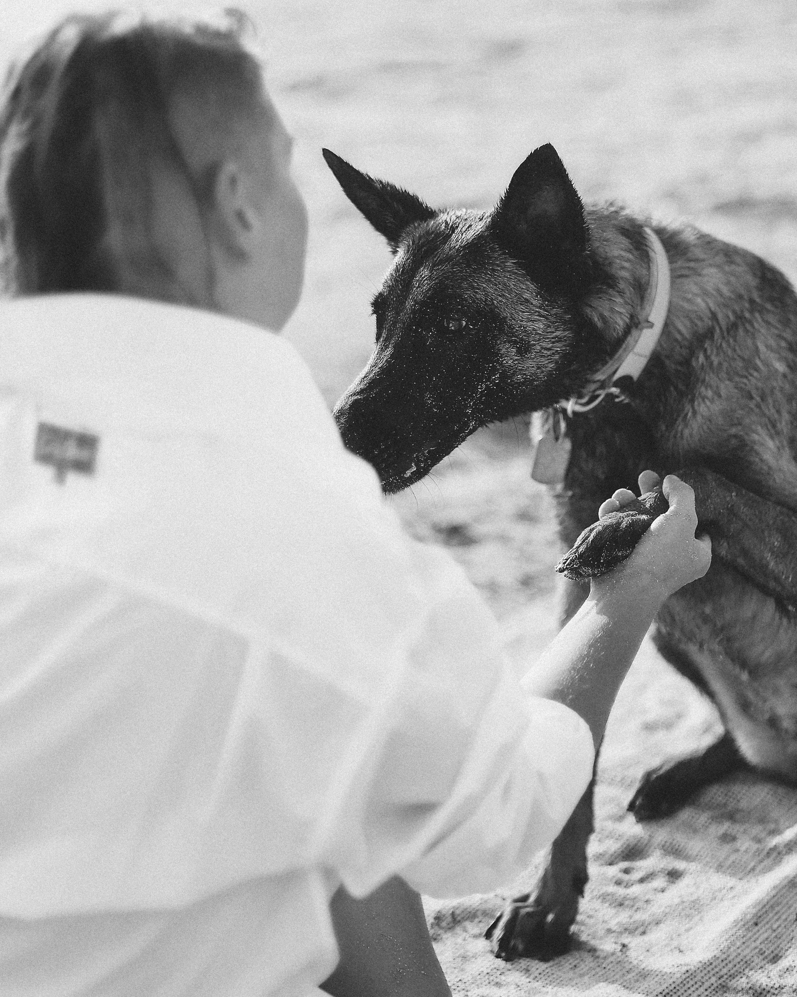 Photoshoot with a pet, Ayia Napa. May, 2022. Home