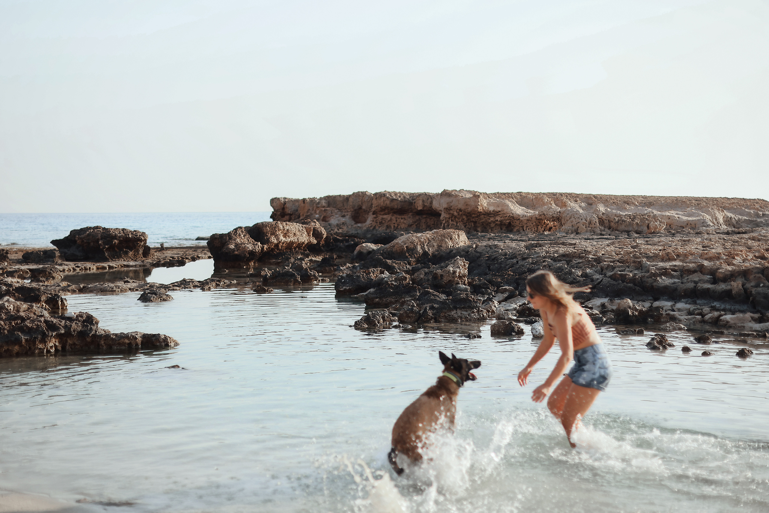 Photoshoot with a pet, Ayia Napa. May, 2022. Home