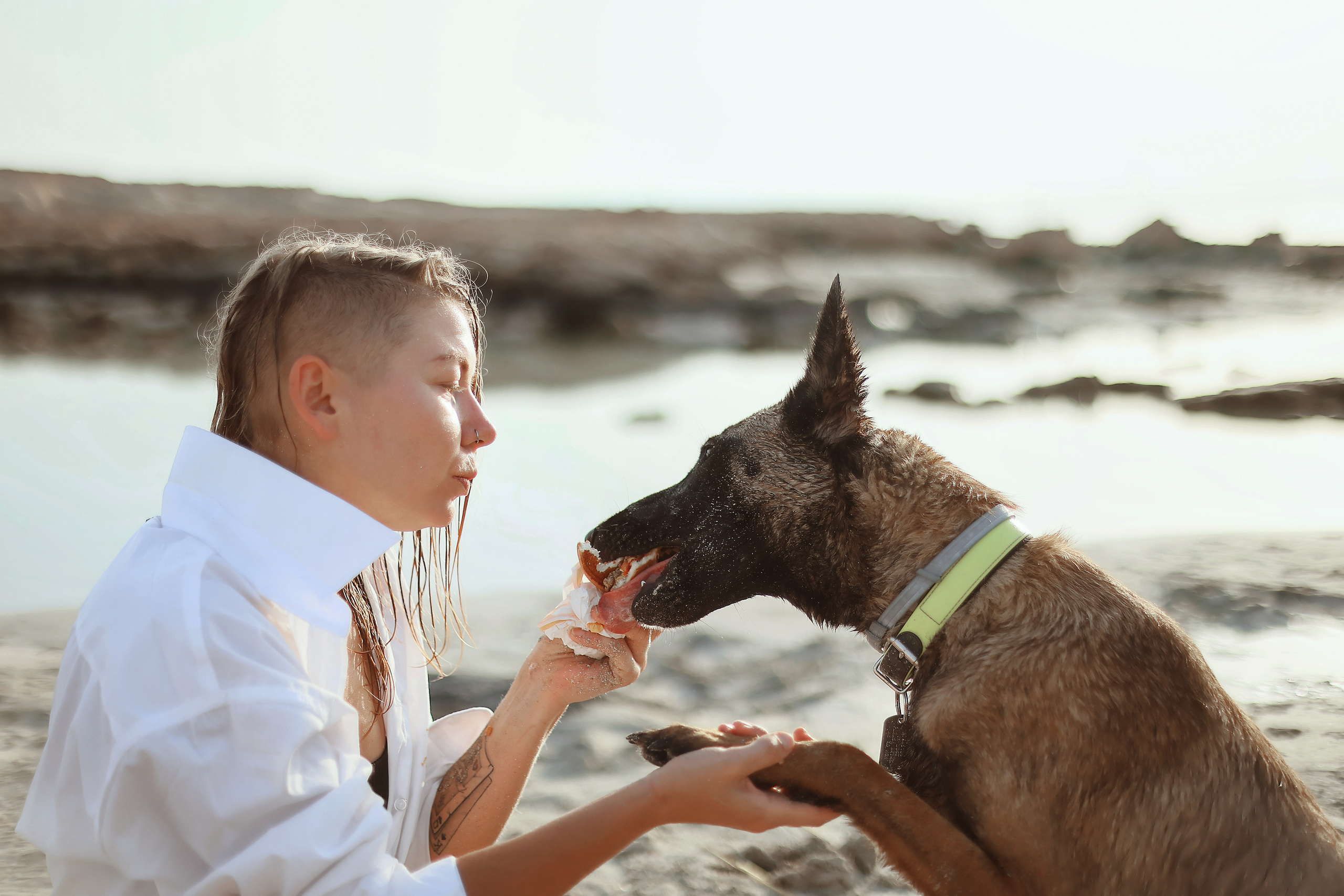 Photoshoot with a pet, Ayia Napa. May, 2022. Home