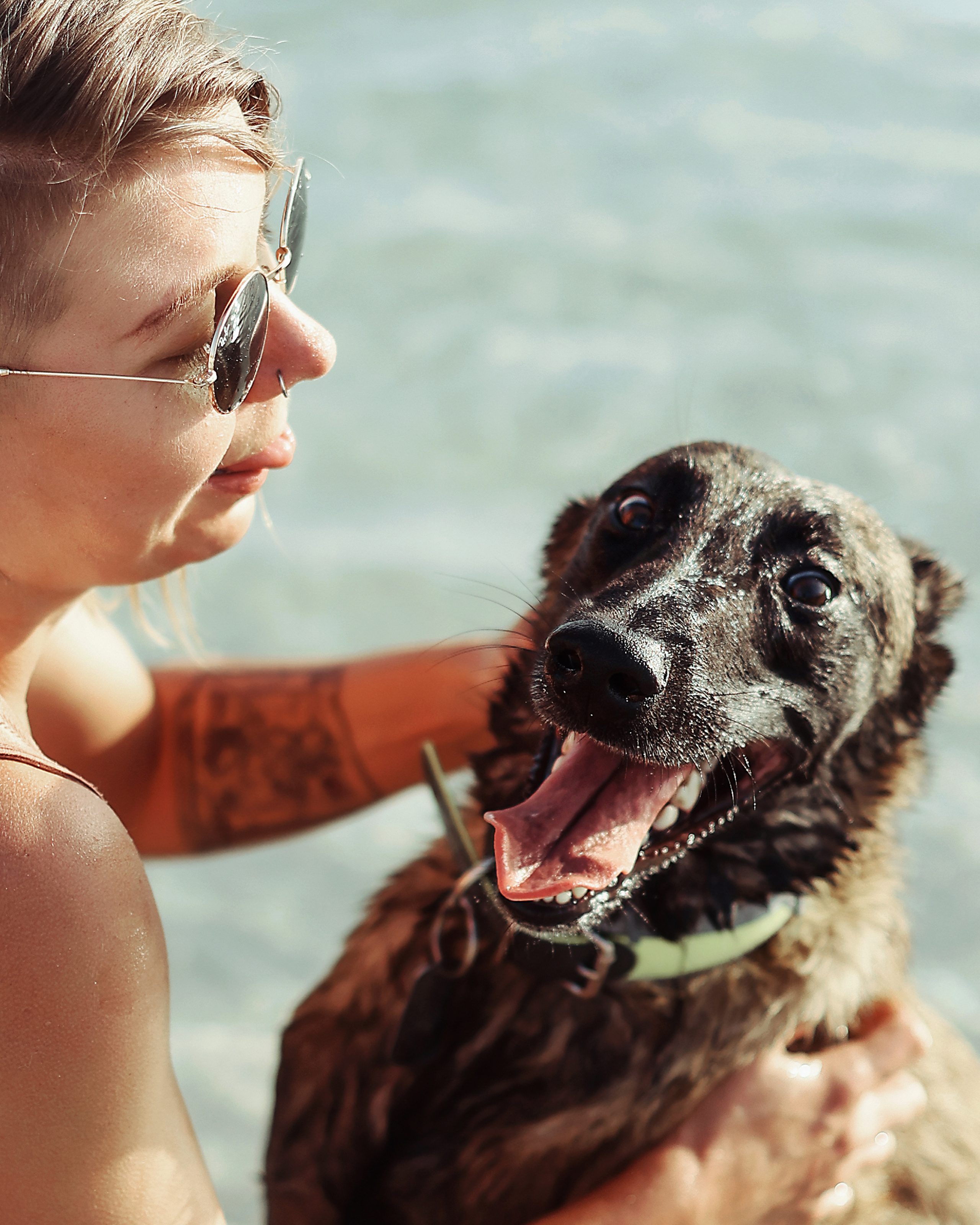 Photoshoot with a pet, Ayia Napa. May, 2022. Home