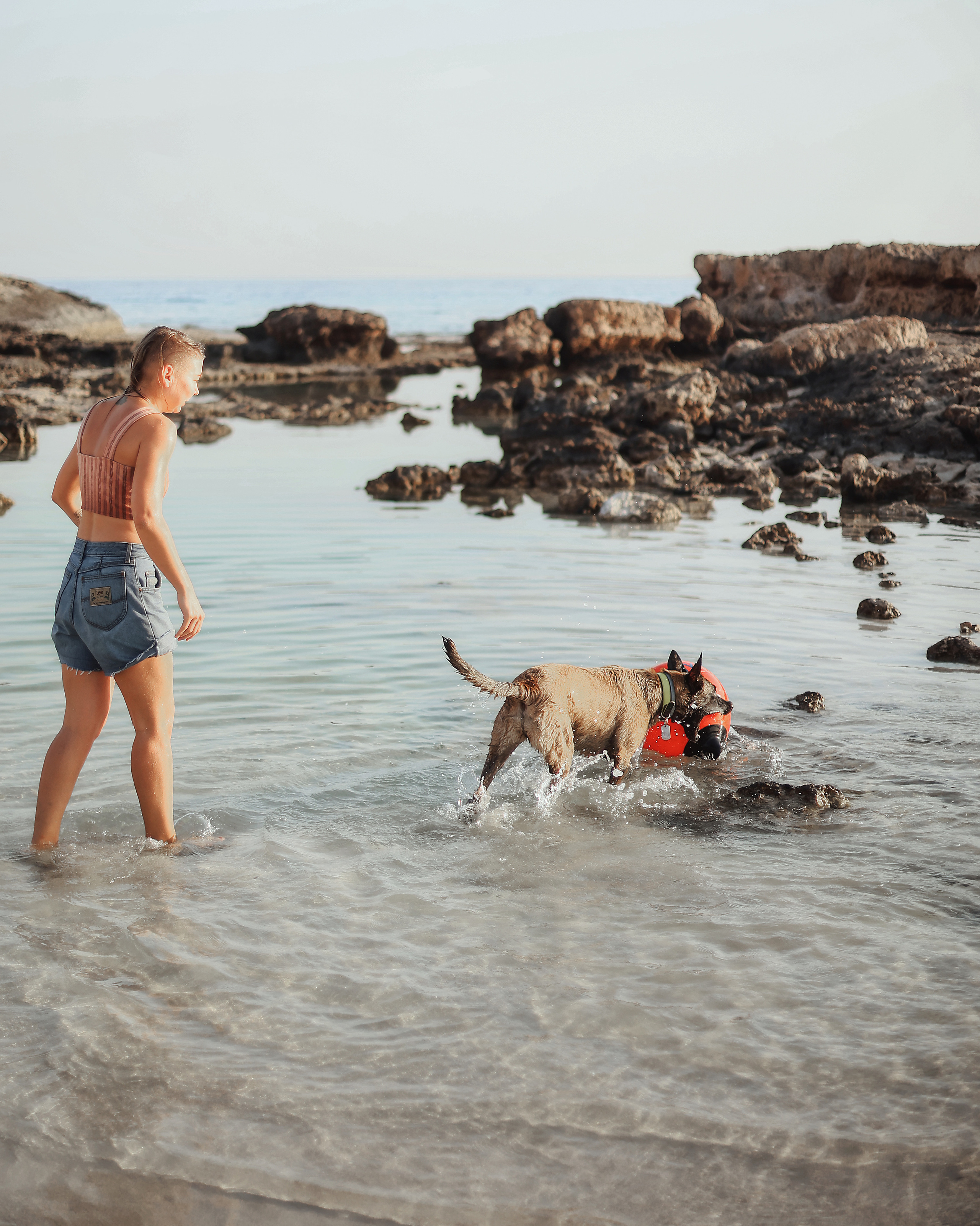 Photoshoot with a pet, Ayia Napa. May, 2022. Home