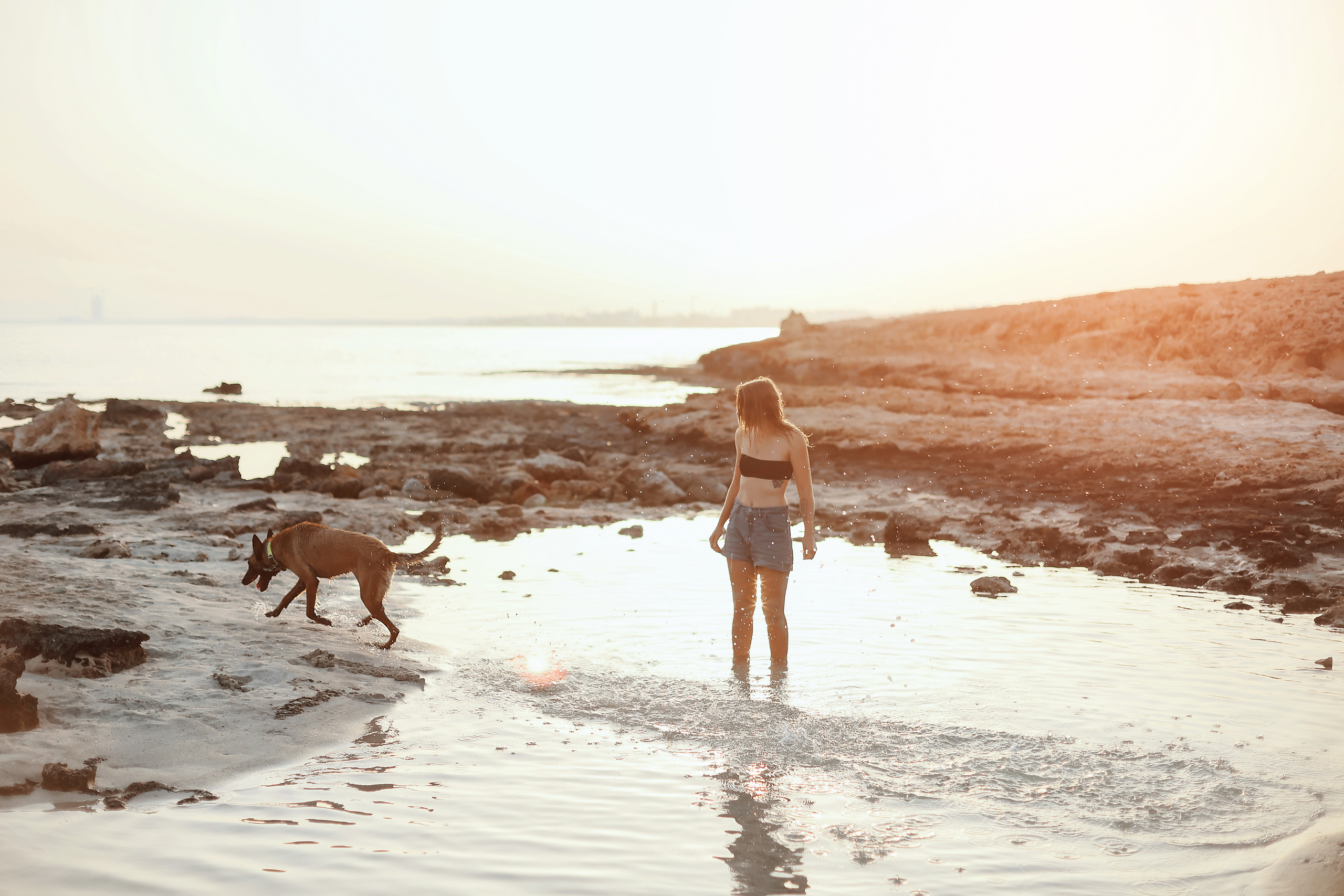 Photoshoot with a pet, Ayia Napa. May, 2022. Home
