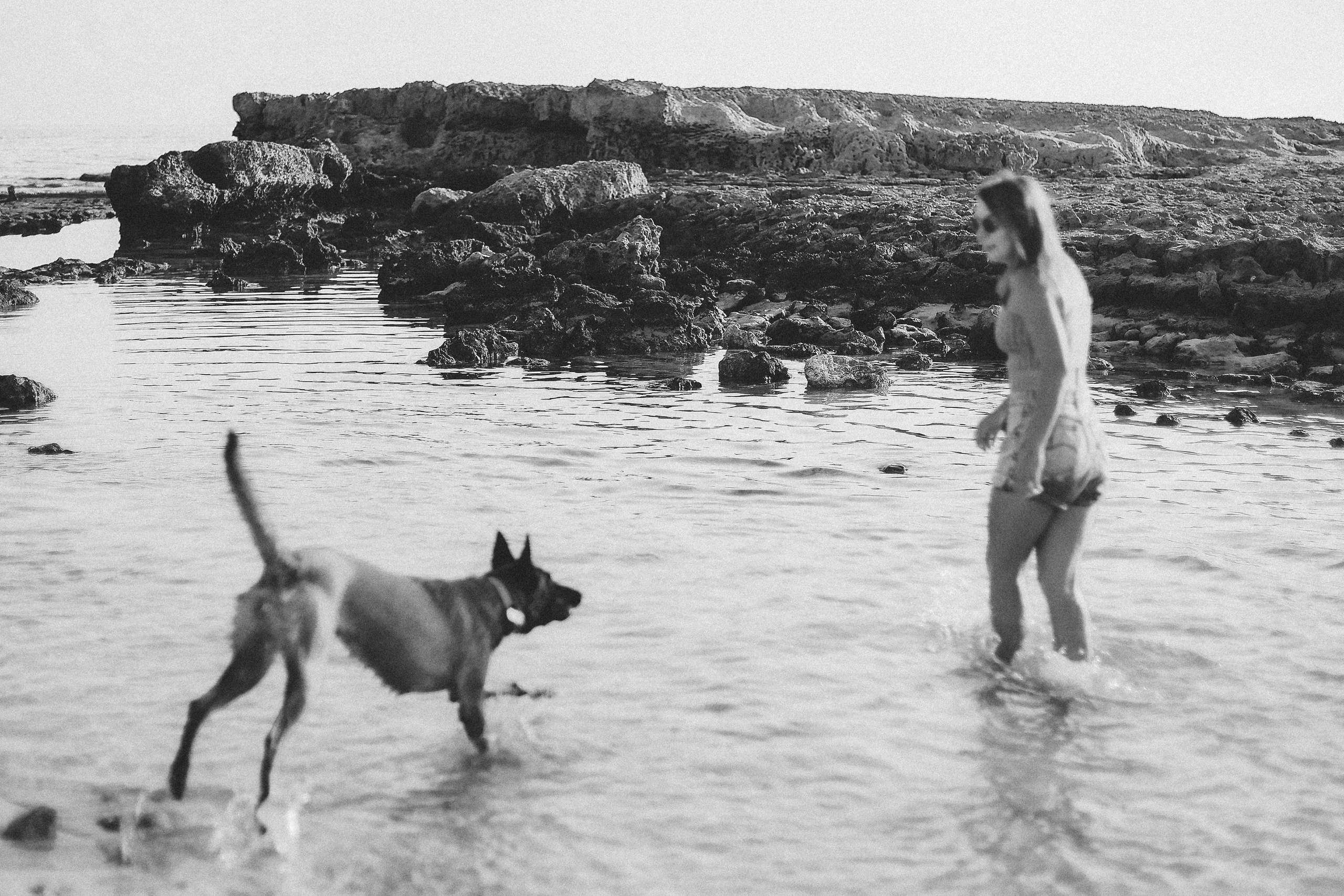 Photoshoot with a pet, Ayia Napa. May, 2022. Home