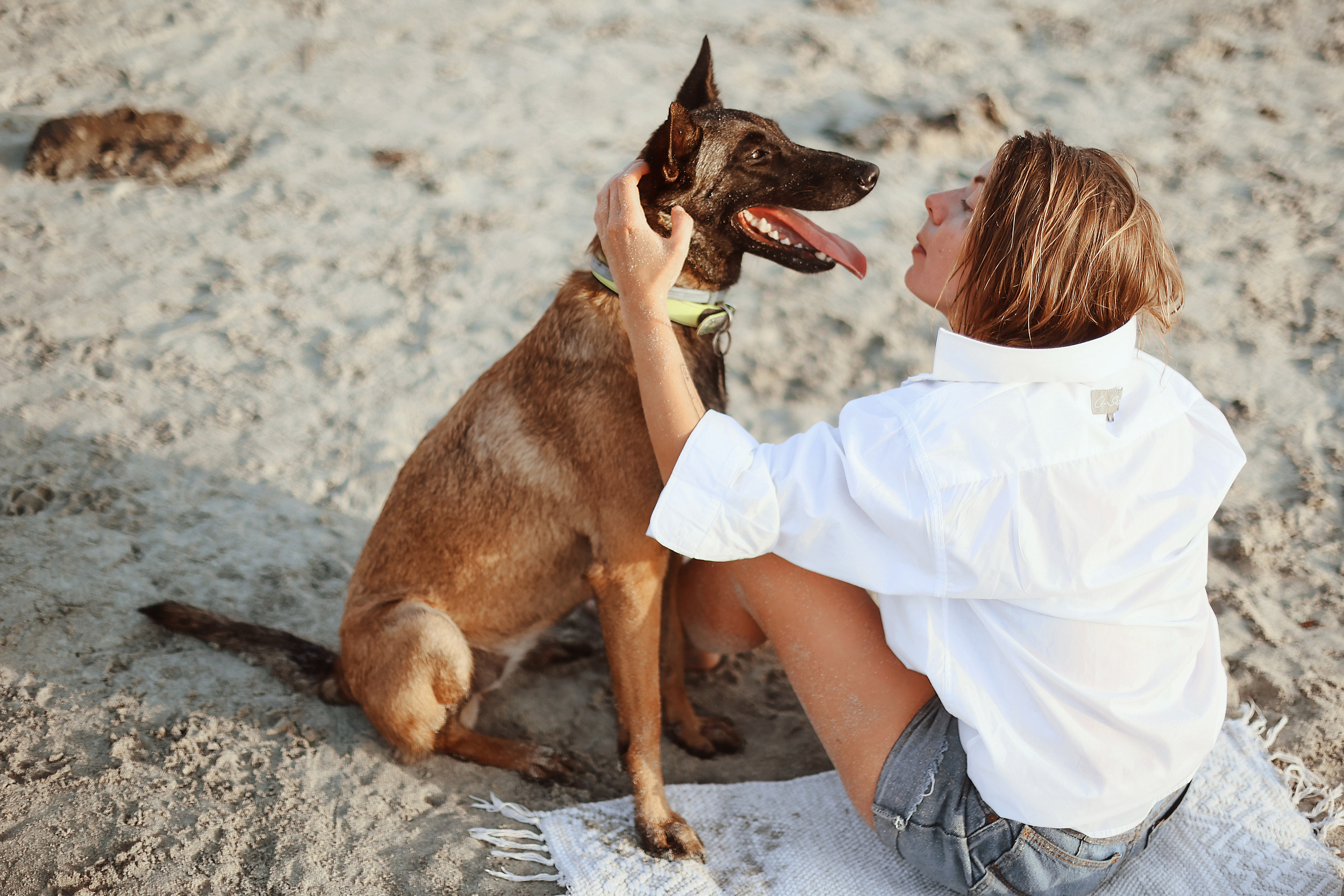 Photoshoot with a pet, Ayia Napa. May, 2022. Home