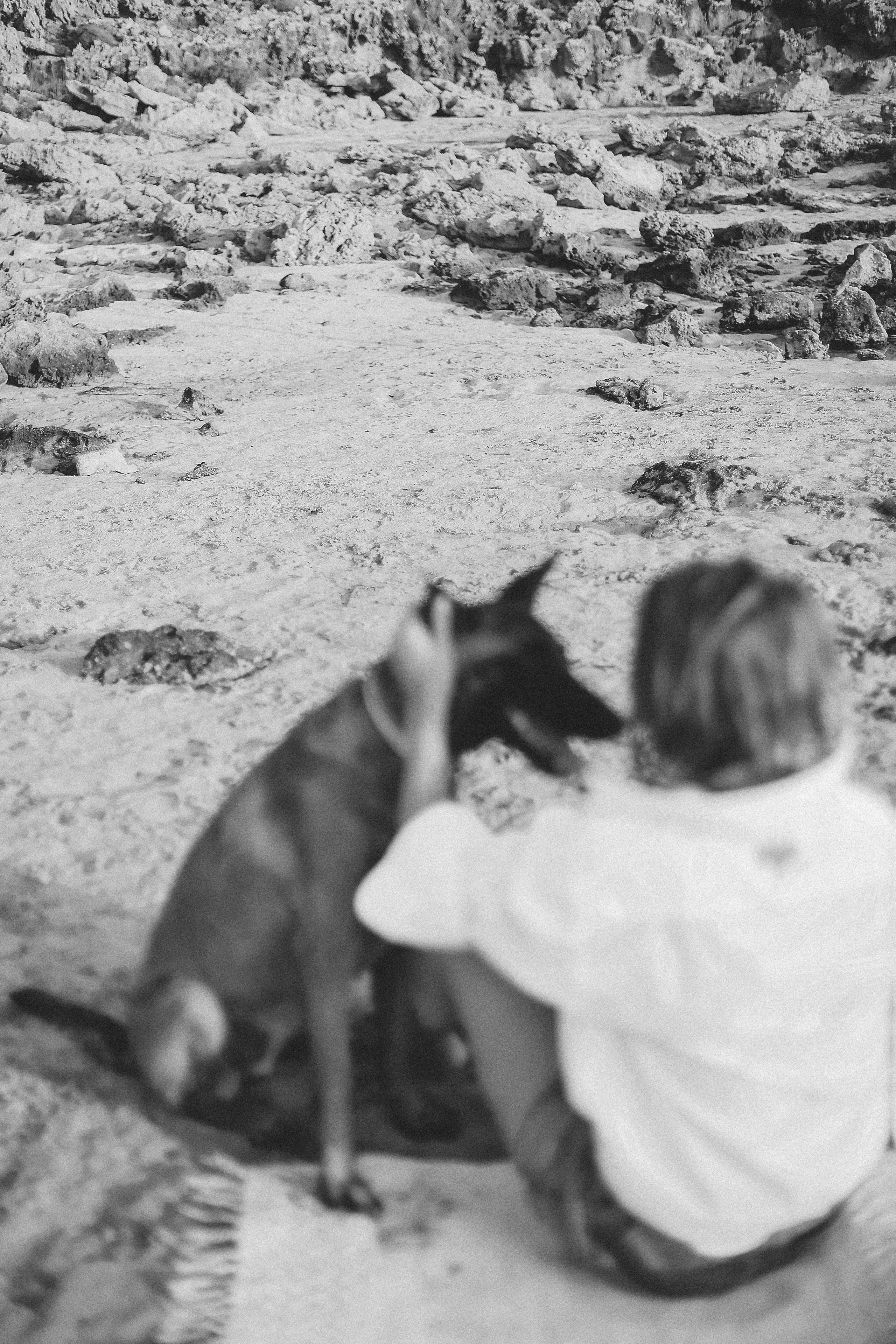 Photoshoot with a pet, Ayia Napa. May, 2022. Home