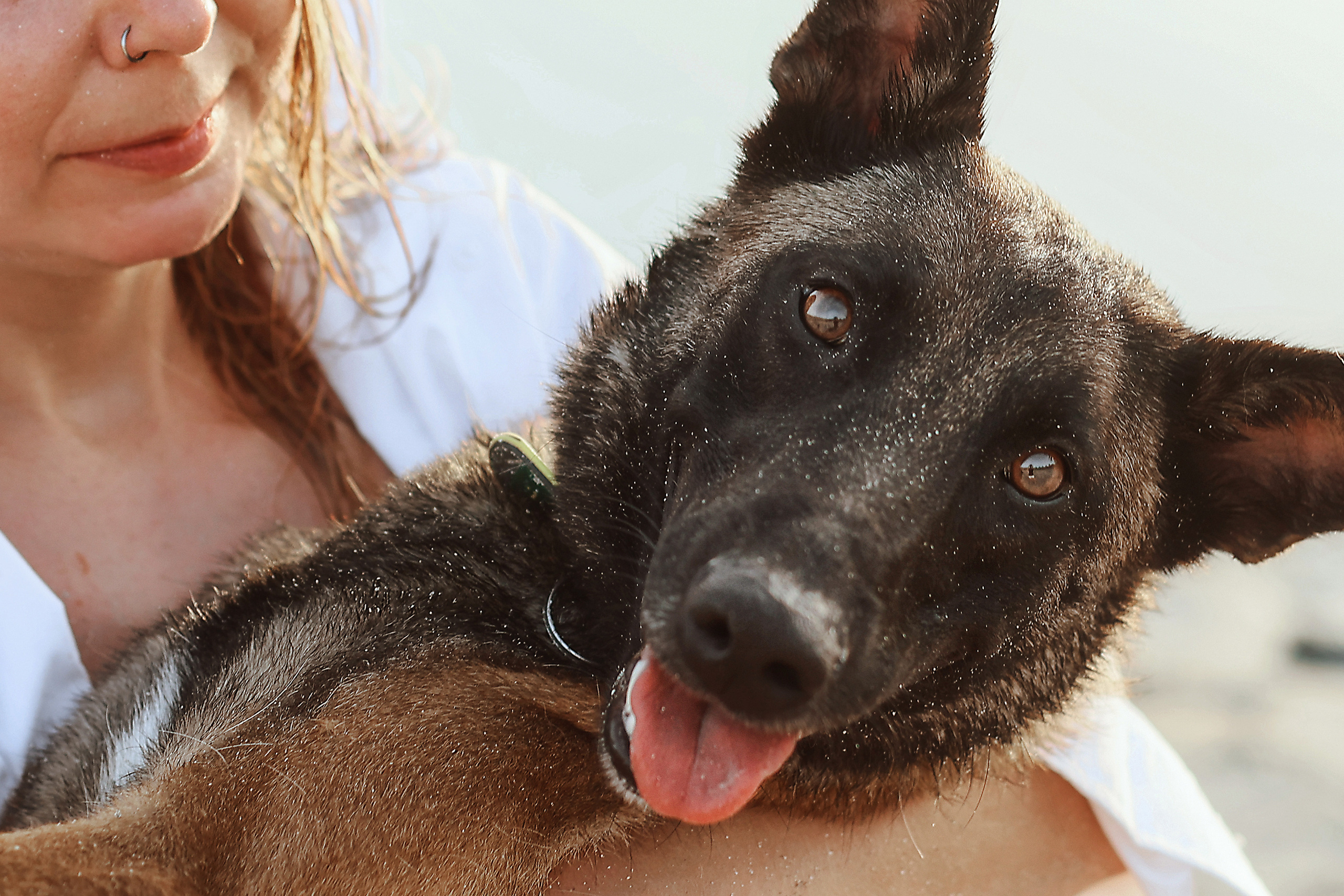 Photoshoot with a pet, Ayia Napa. May, 2022. Home