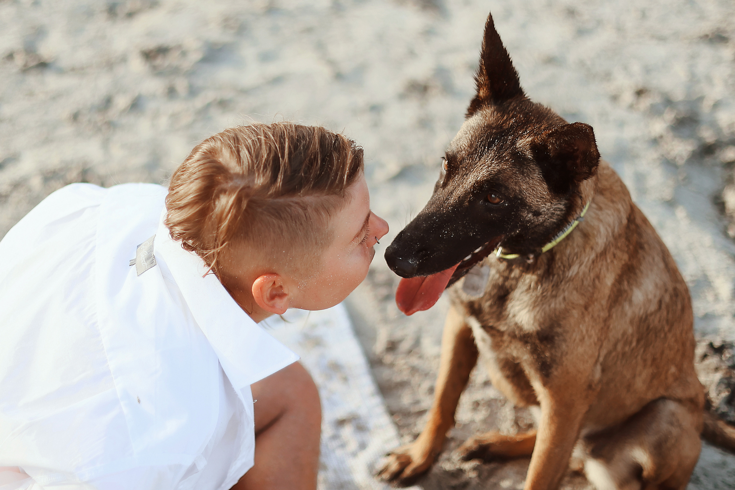 Photoshoot with a pet, Ayia Napa. May, 2022. Home