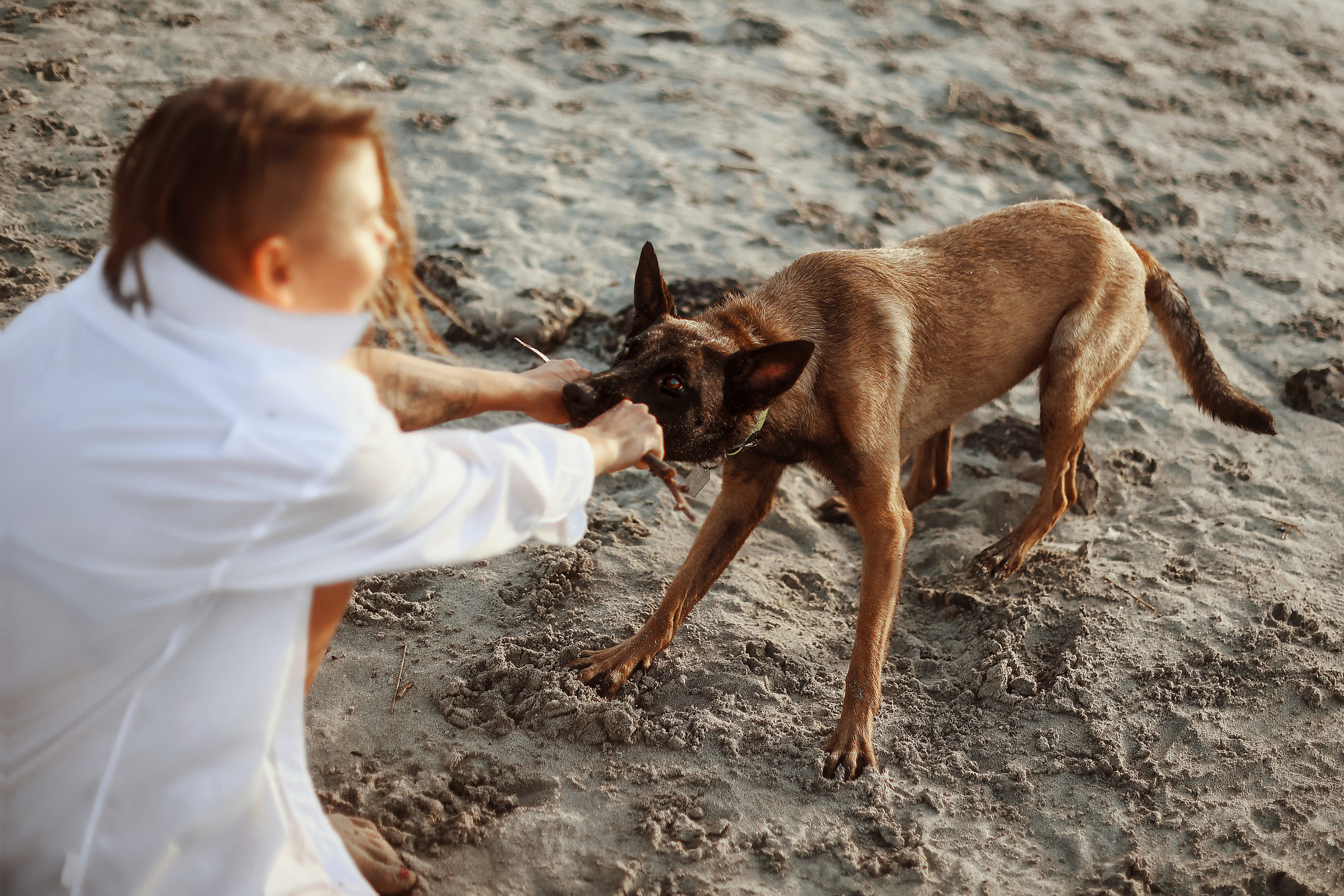 Photoshoot with a pet, Ayia Napa. May, 2022. Home