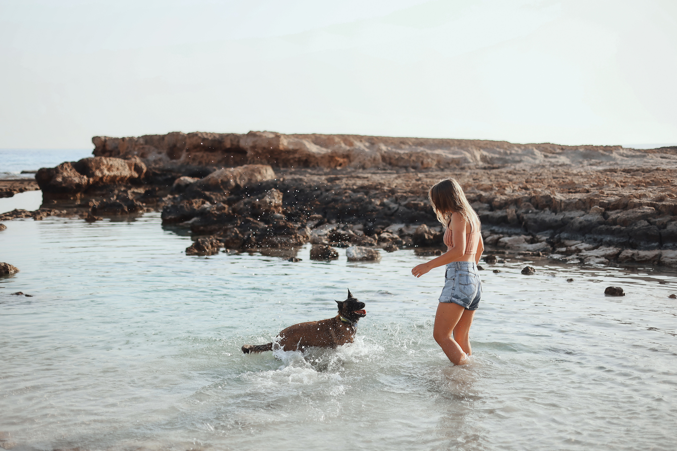 Photoshoot with a pet, Ayia Napa. May, 2022. Home