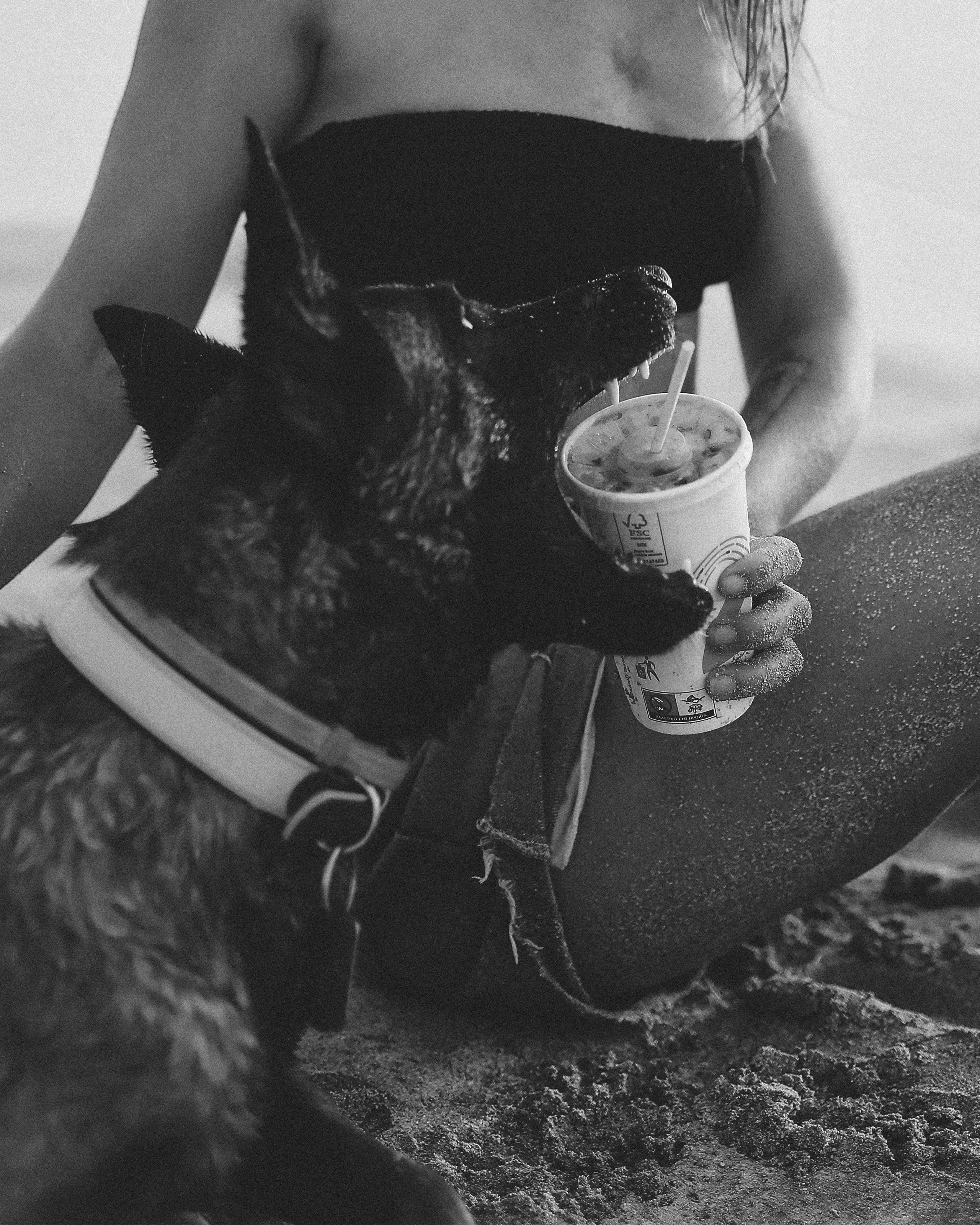 Photoshoot with a pet, Ayia Napa. May, 2022. Home