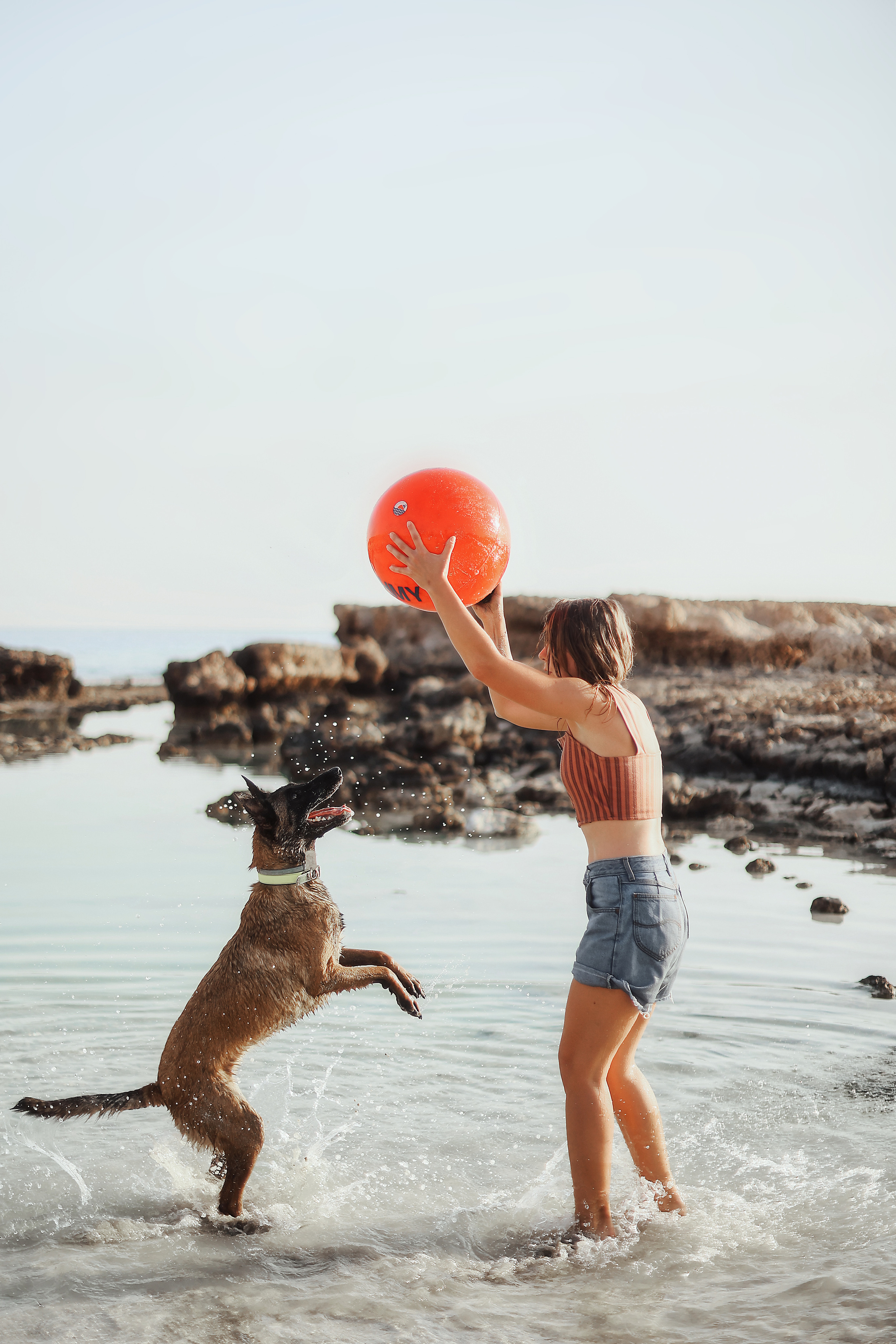 Photoshoot with a pet, Ayia Napa. May, 2022. Home