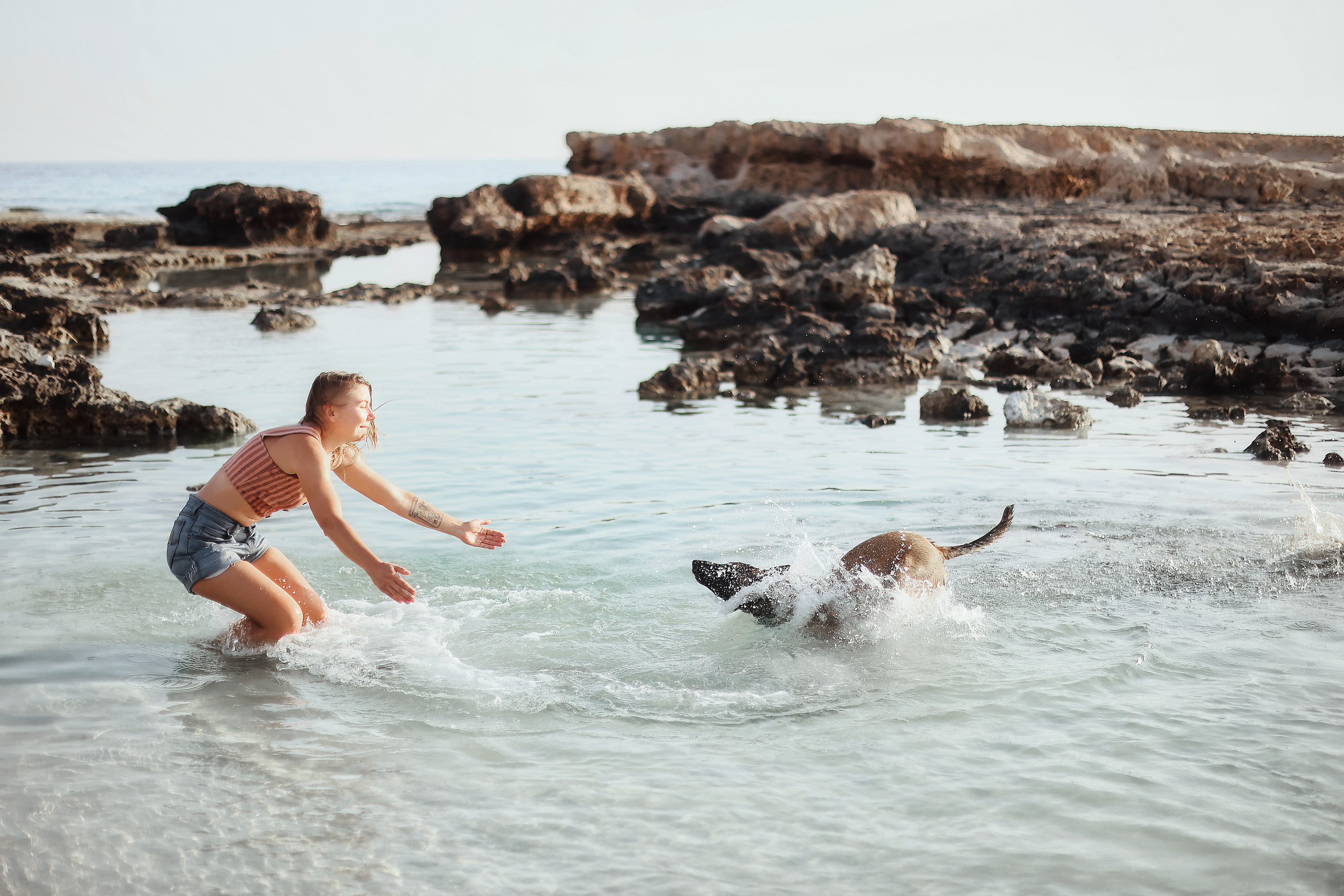 Photoshoot with a pet, Ayia Napa. May, 2022. Home
