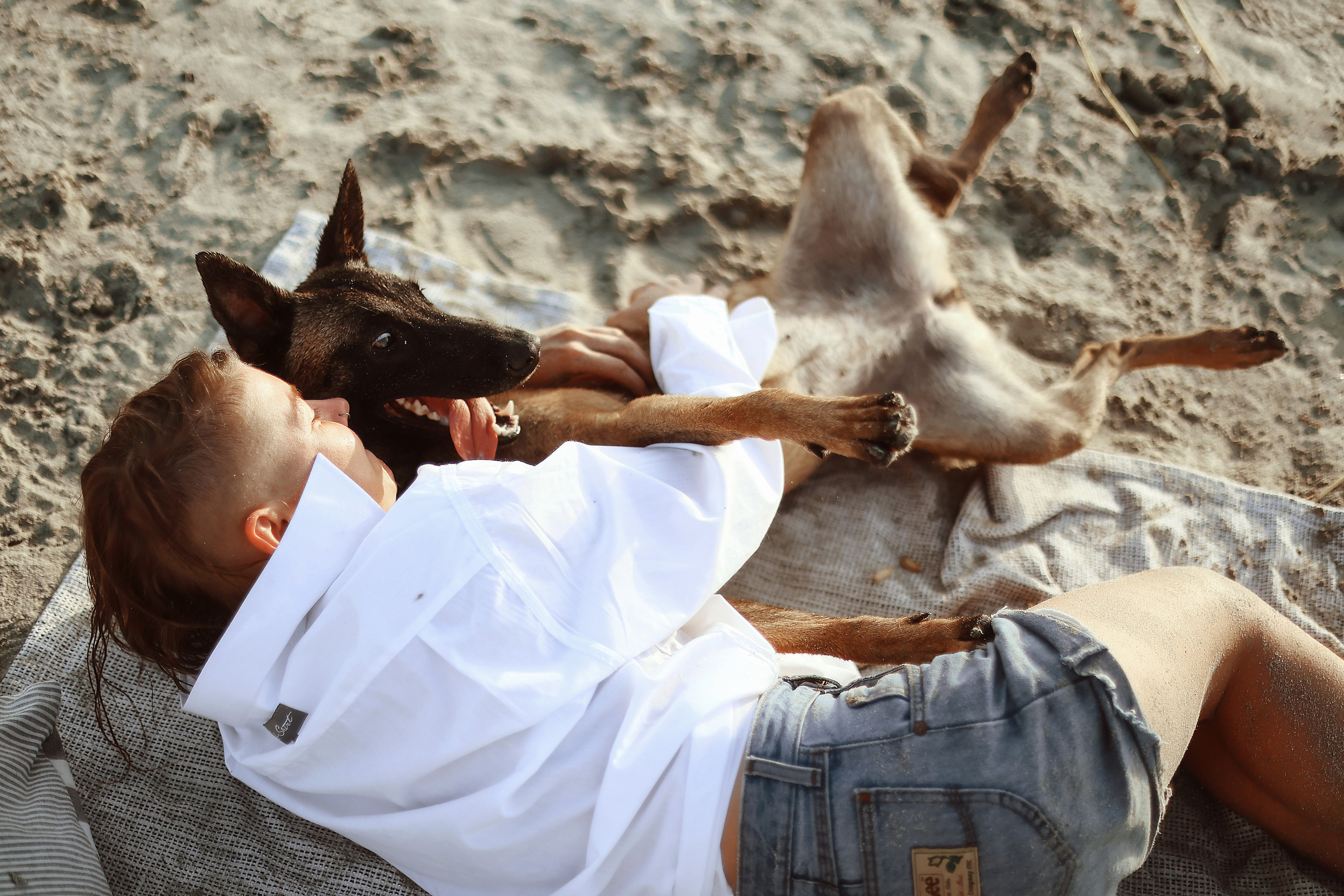 Photoshoot with a pet, Ayia Napa. May, 2022. Home