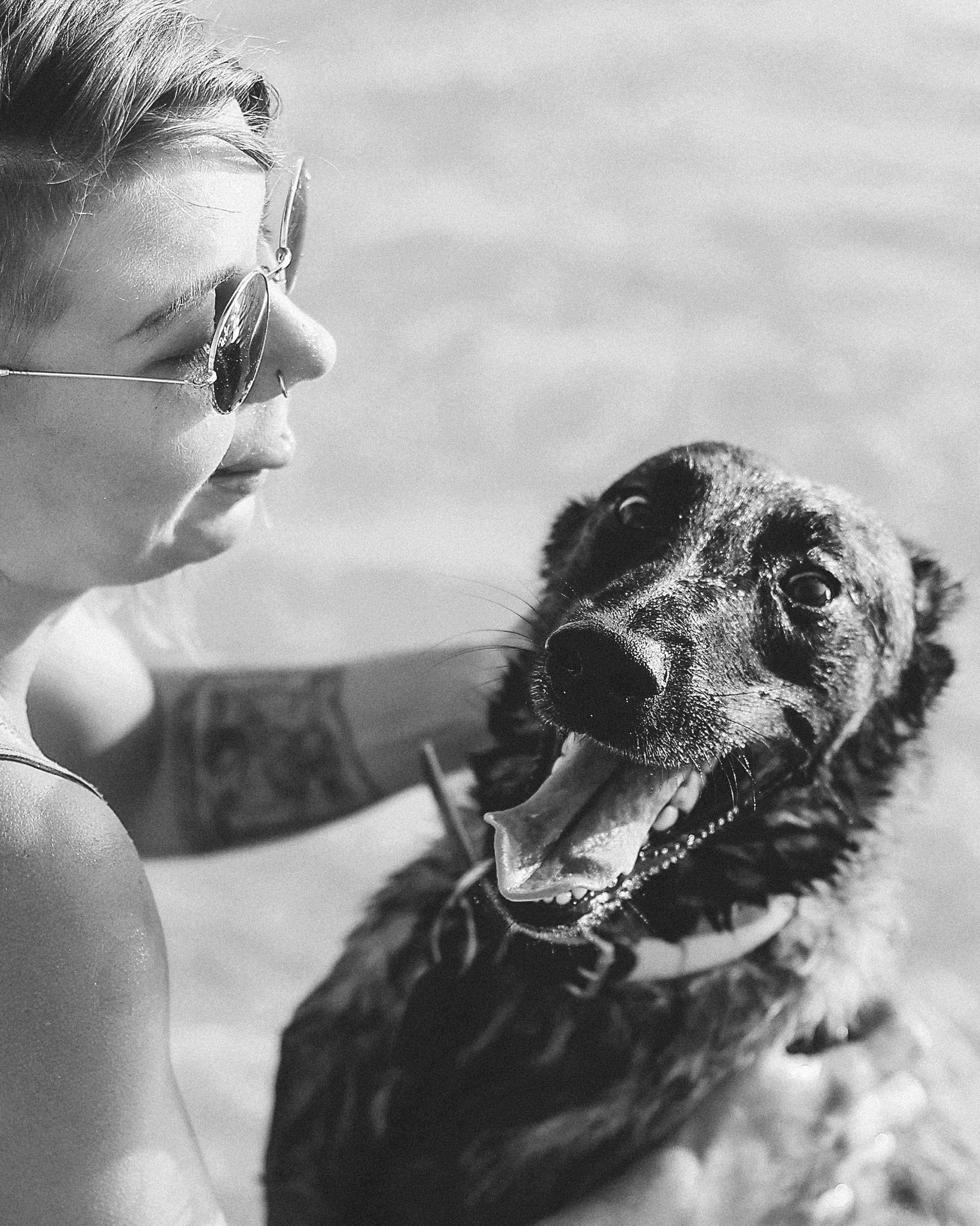 Photoshoot with a pet, Ayia Napa. May, 2022. Home