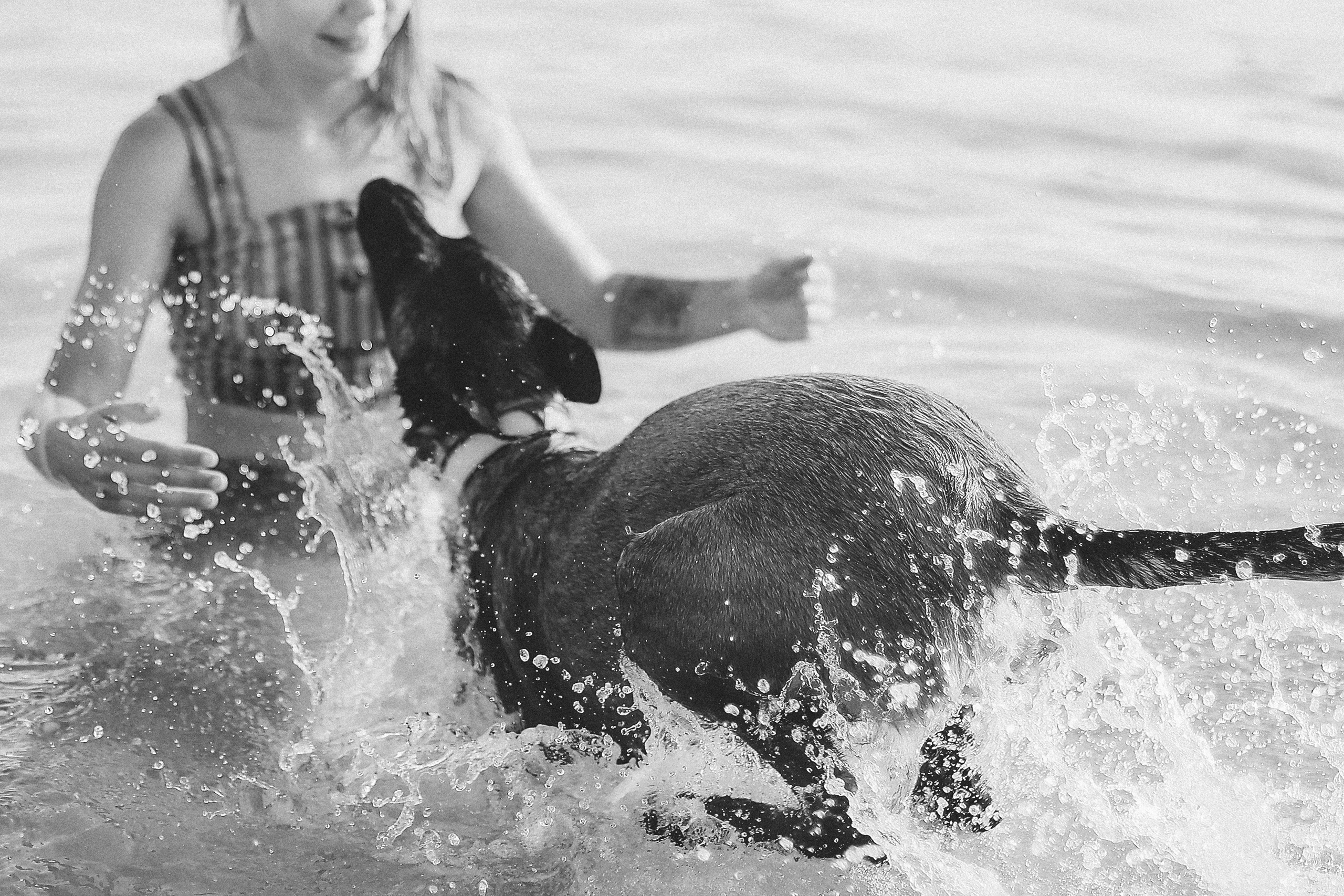 Photoshoot with a pet, Ayia Napa. May, 2022. Home
