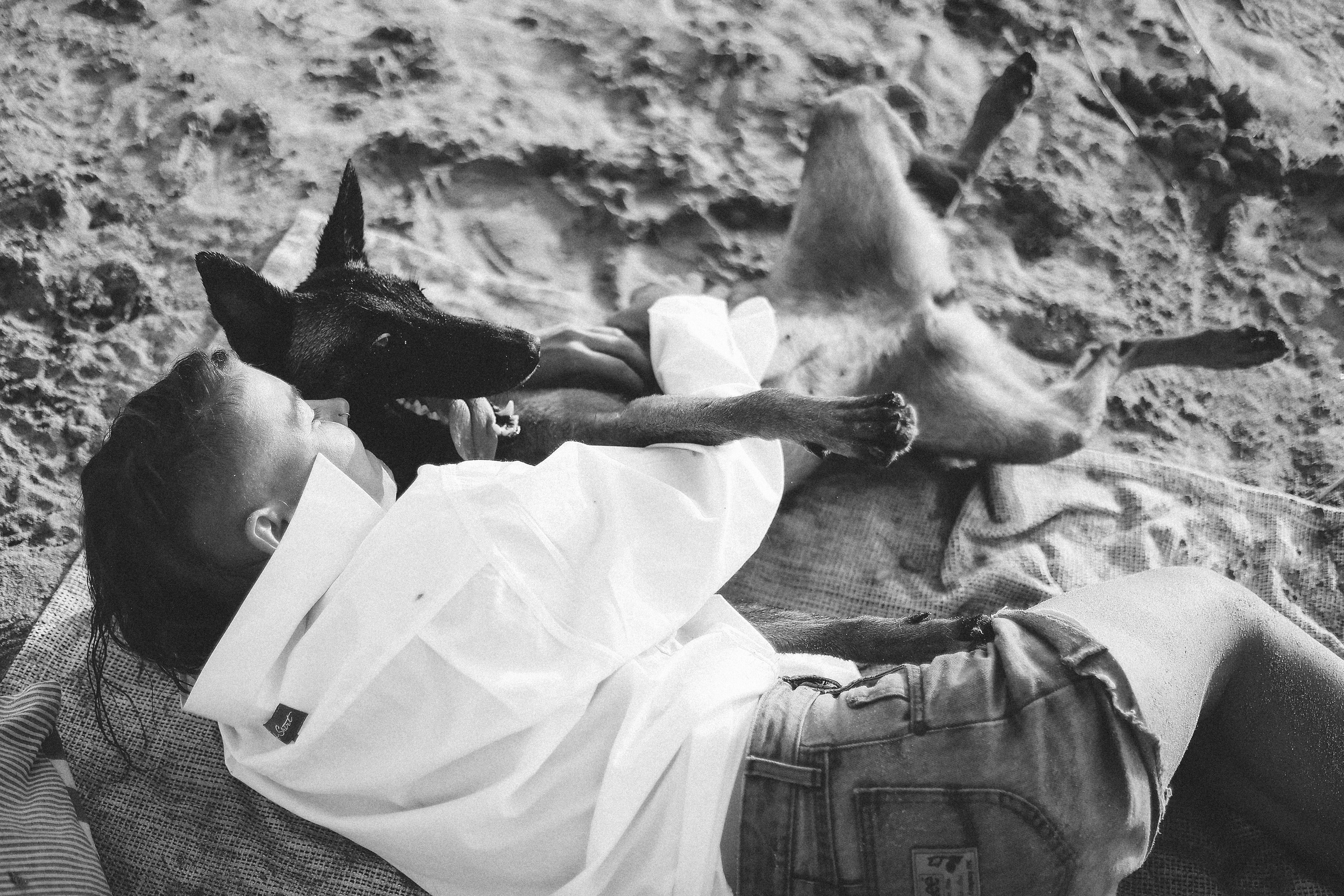 Photoshoot with a pet, Ayia Napa. May, 2022. Home