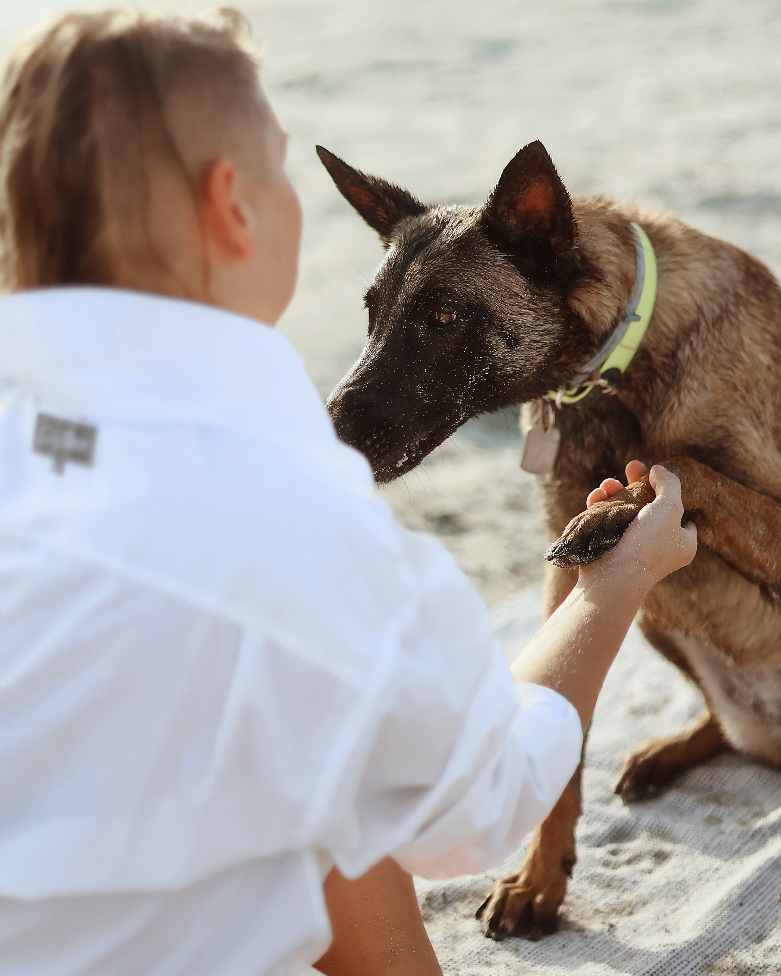 Photoshoot with a pet, Ayia Napa. May, 2022. Home