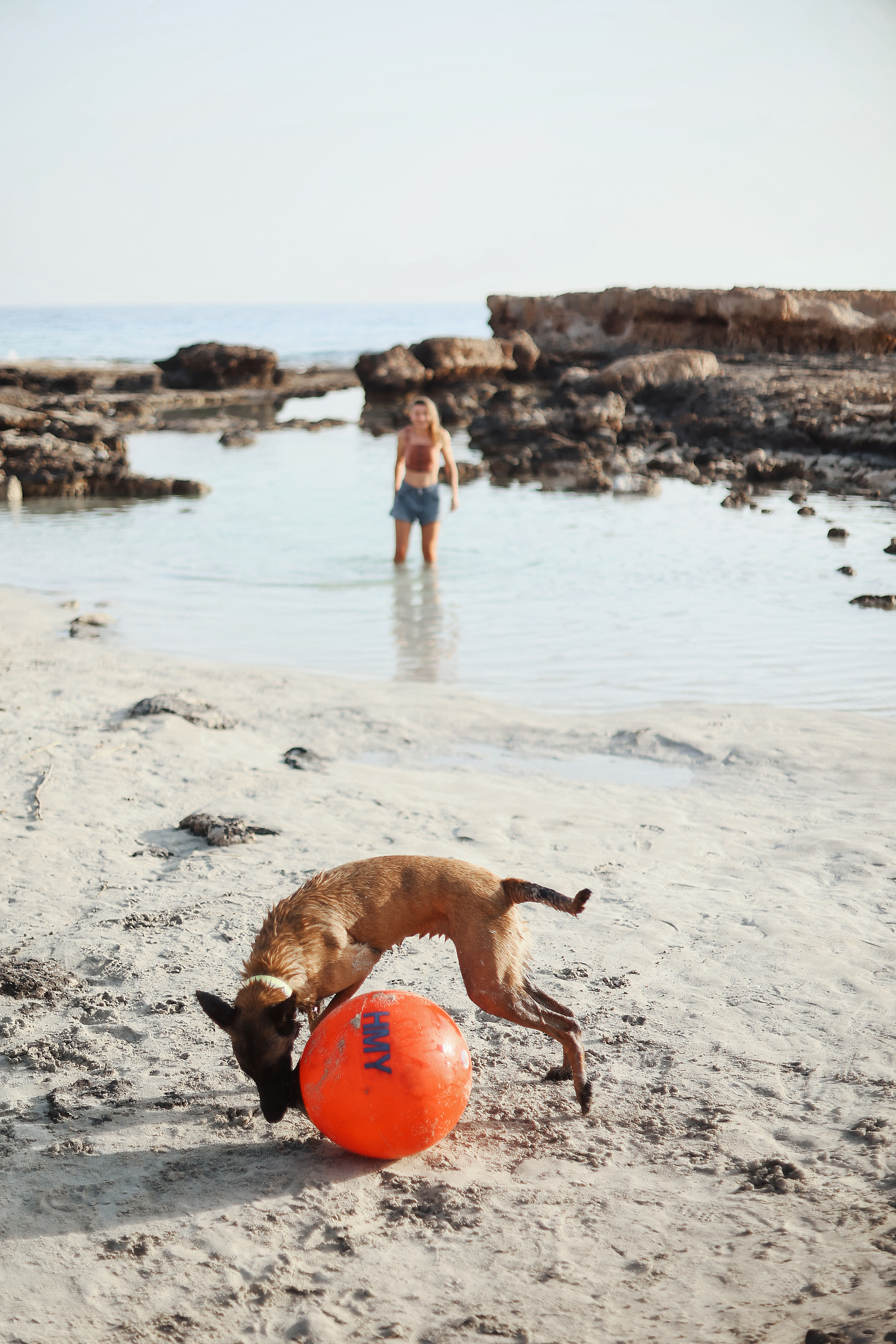 Photoshoot with a pet, Ayia Napa. May, 2022. Home
