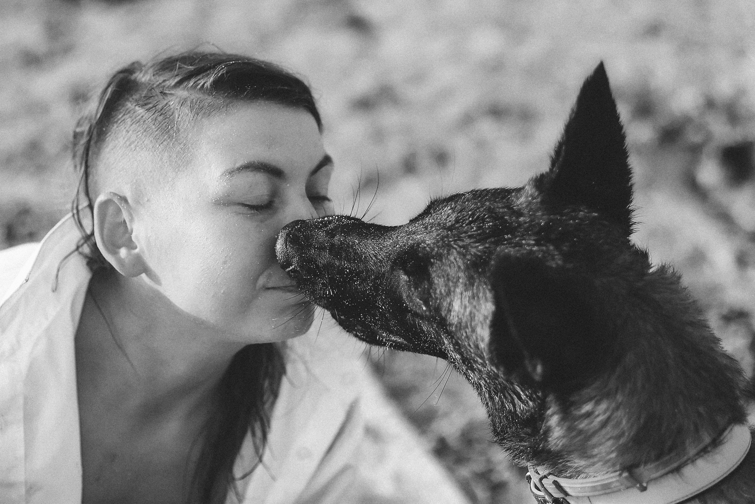 Photoshoot with a pet, Ayia Napa. May, 2022. Home