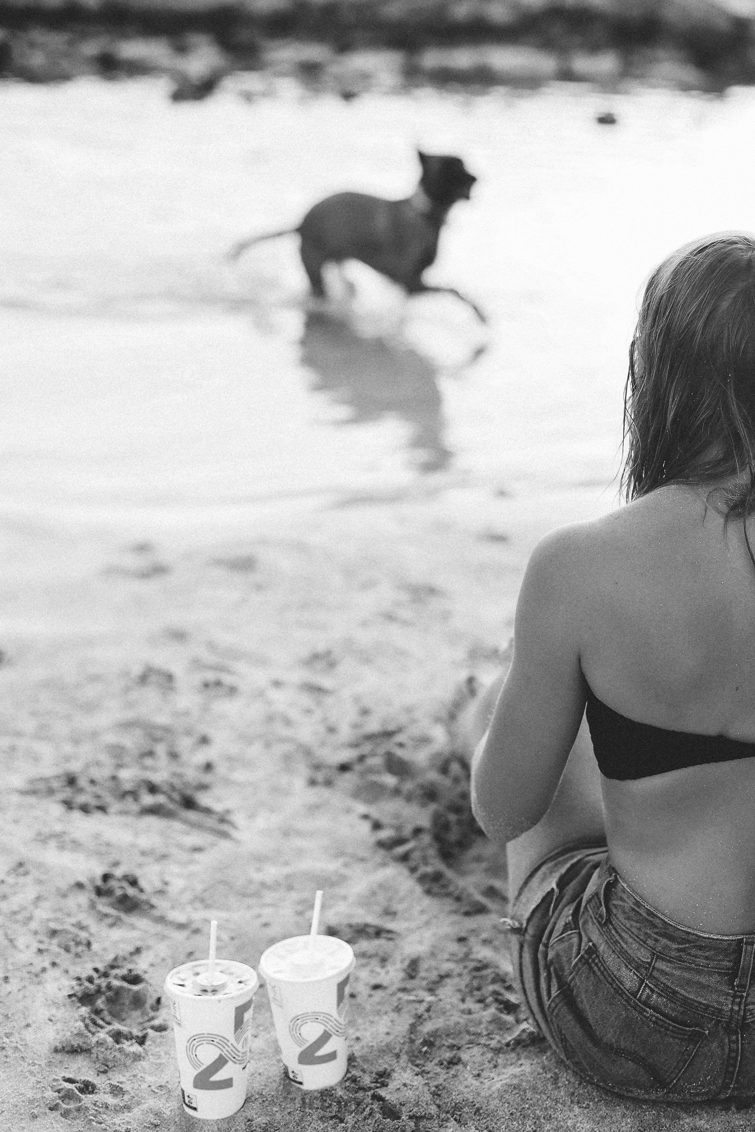 Photoshoot with a pet, Ayia Napa. May, 2022. Home