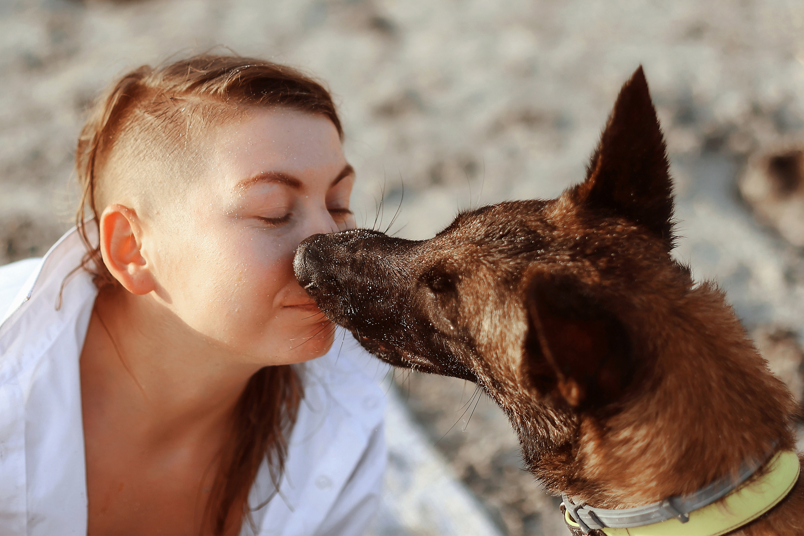 Photoshoot with a pet, Ayia Napa. May, 2022. Home