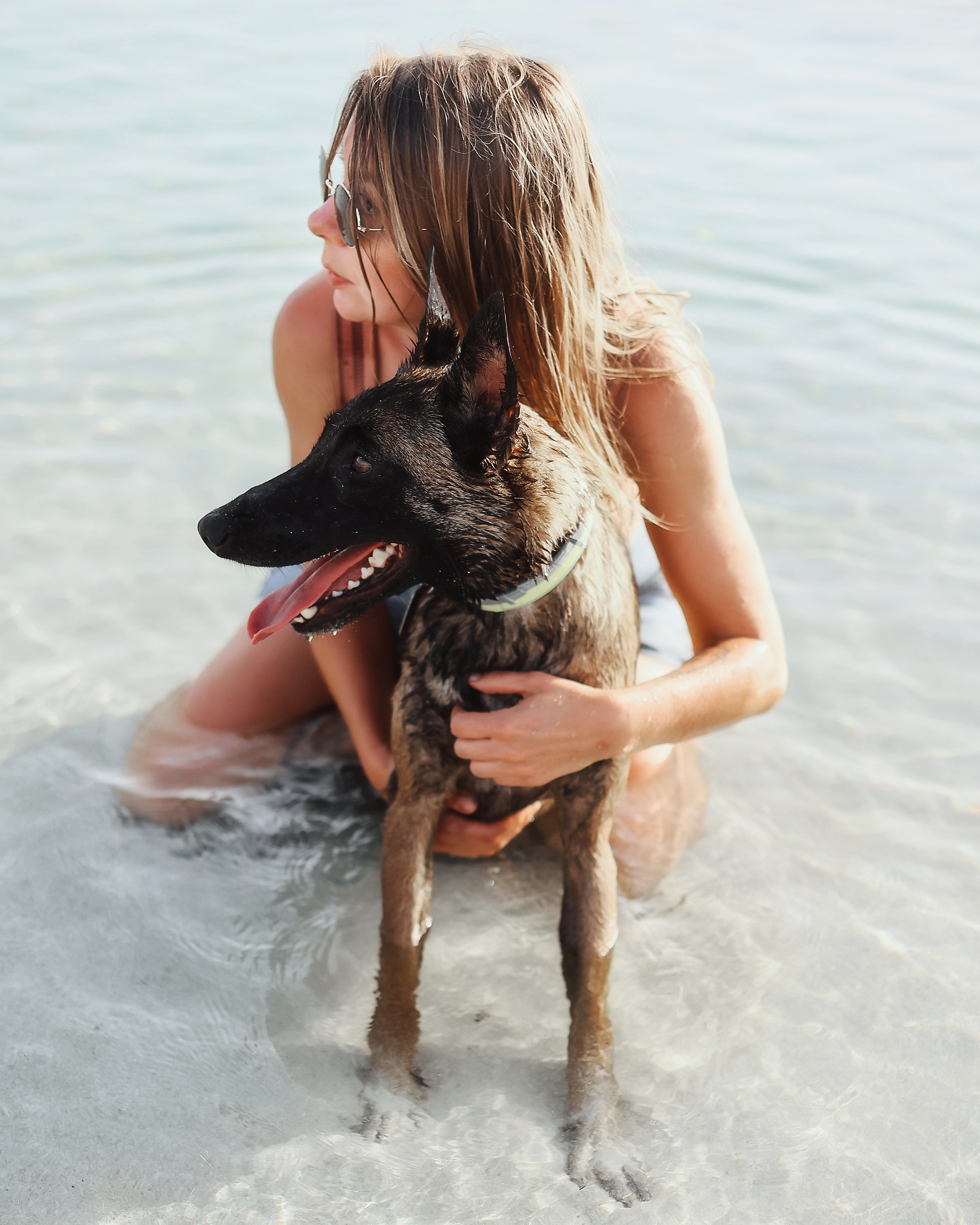 Photoshoot with a pet, Ayia Napa. May, 2022. Home