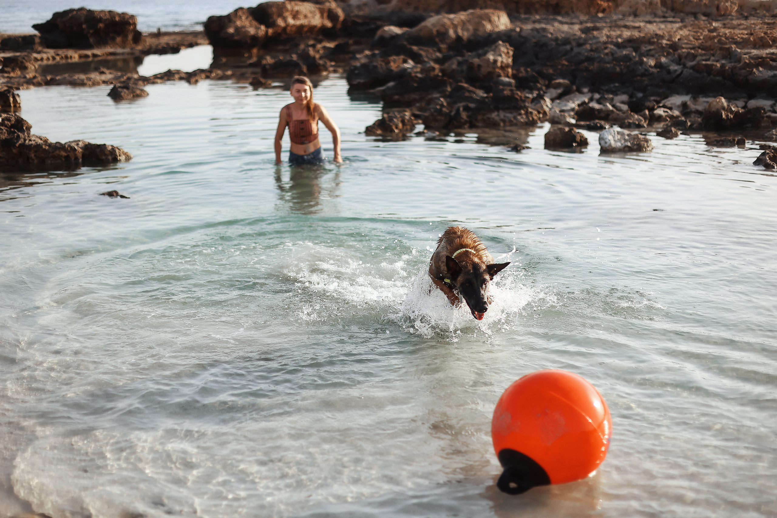 Photoshoot with a pet, Ayia Napa. May, 2022. Home