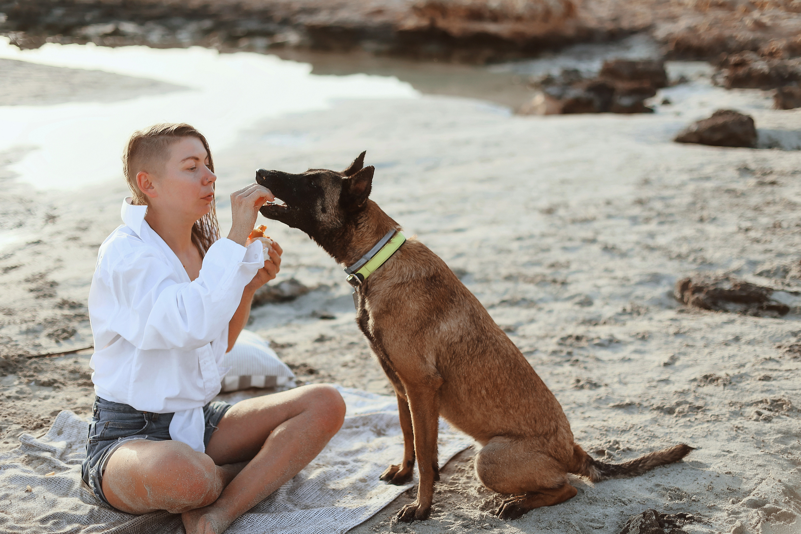 Photoshoot with a pet, Ayia Napa. May, 2022. Home