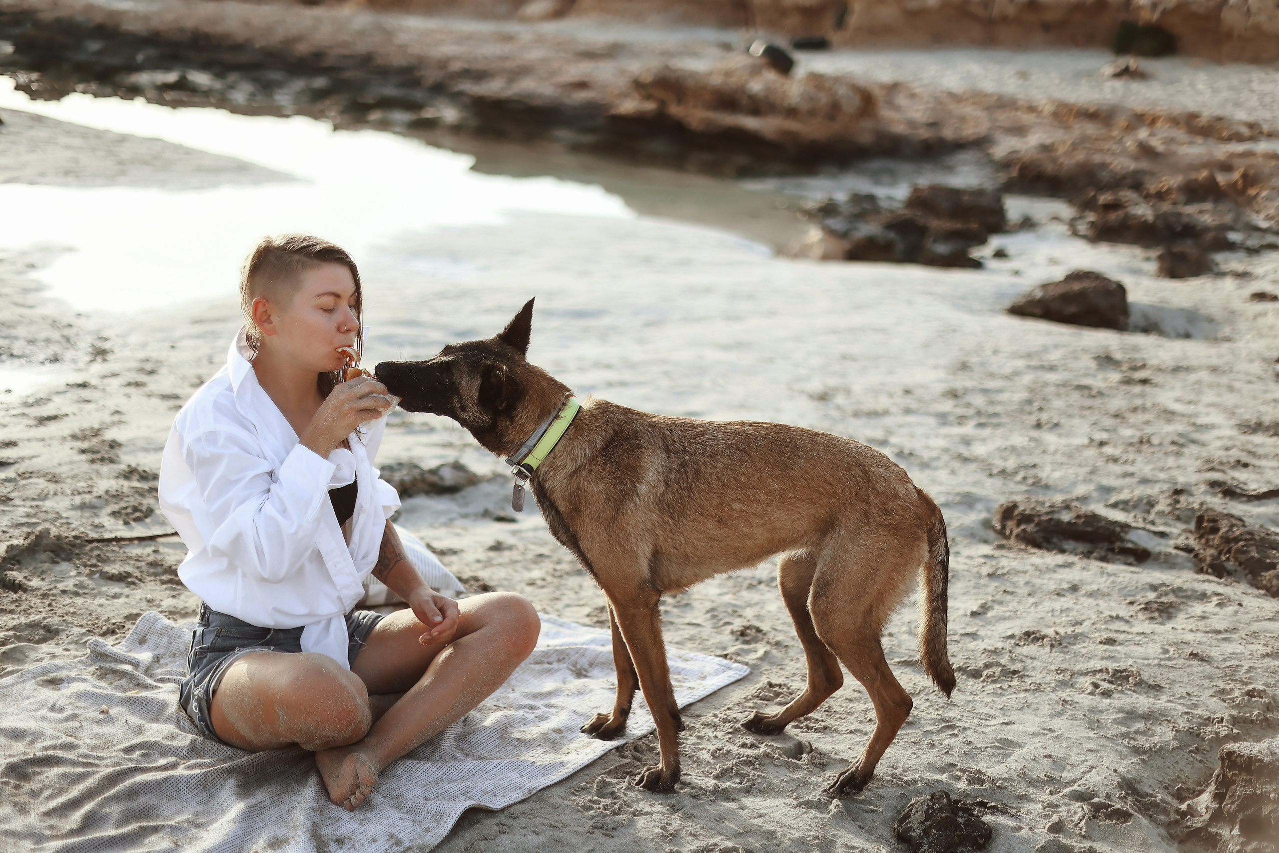 Photoshoot with a pet, Ayia Napa. May, 2022. Home