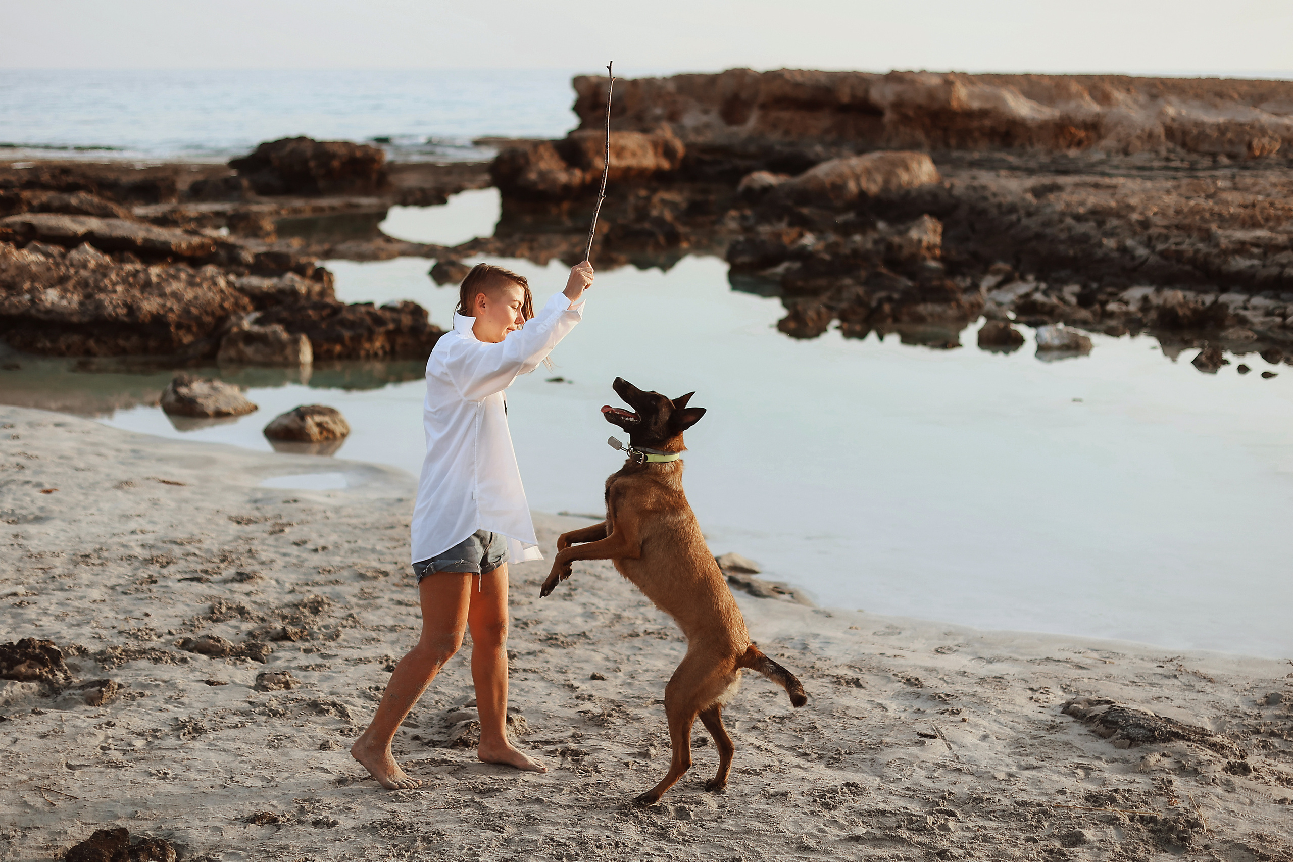 Photoshoot with a pet, Ayia Napa. May, 2022. Home