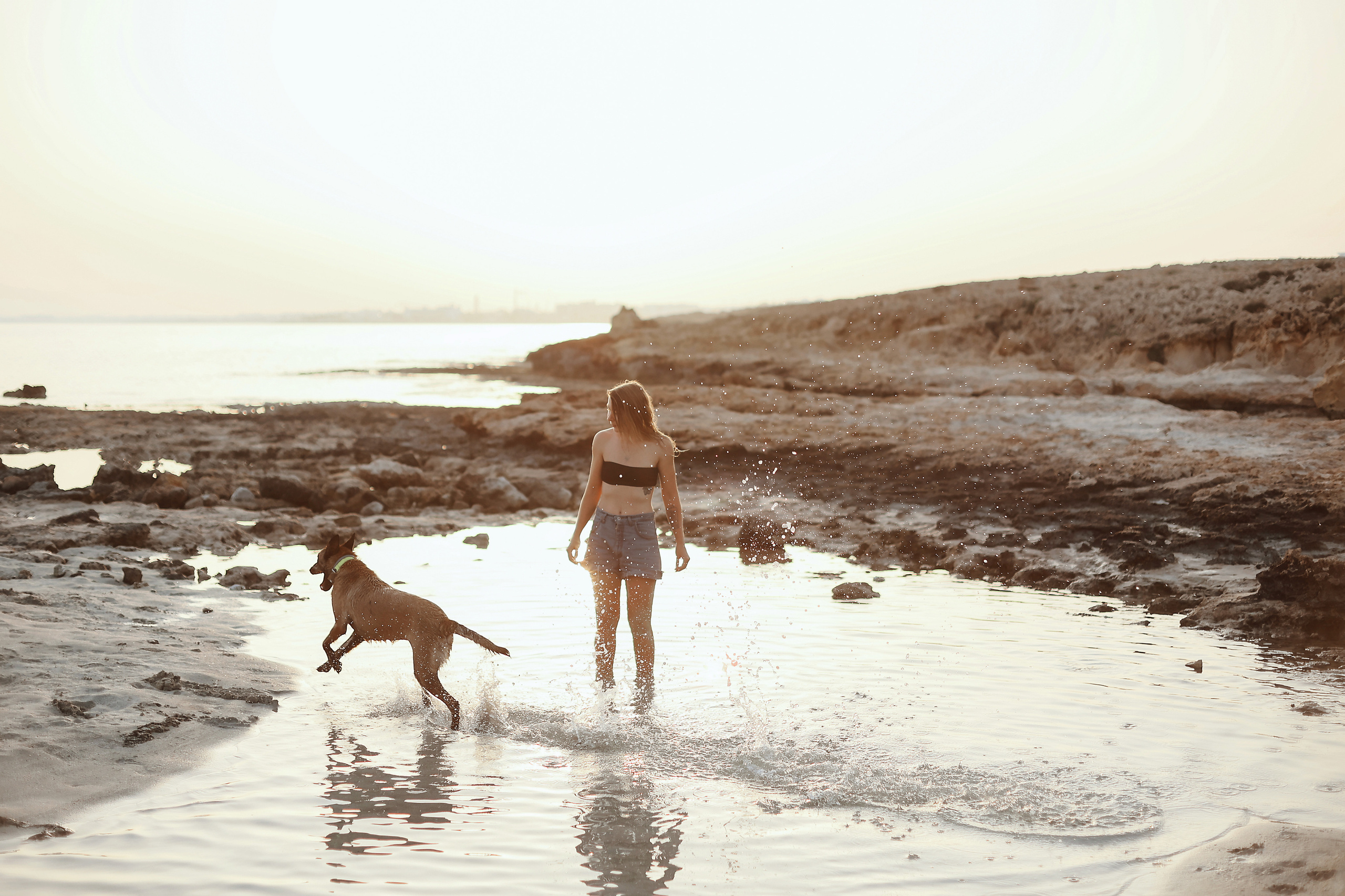 Photoshoot with a pet, Ayia Napa. May, 2022. Home
