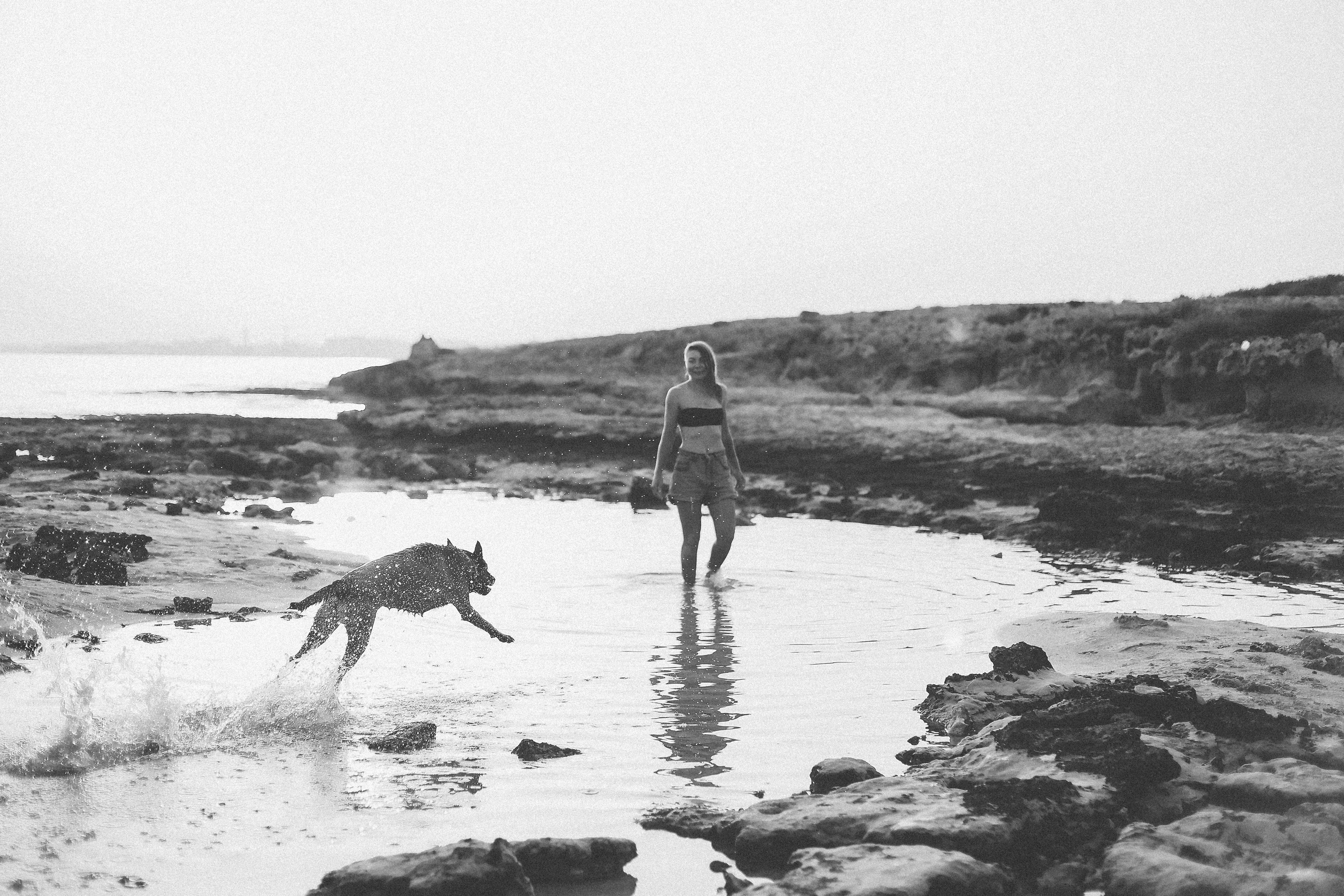 Photoshoot with a pet, Ayia Napa. May, 2022. Home