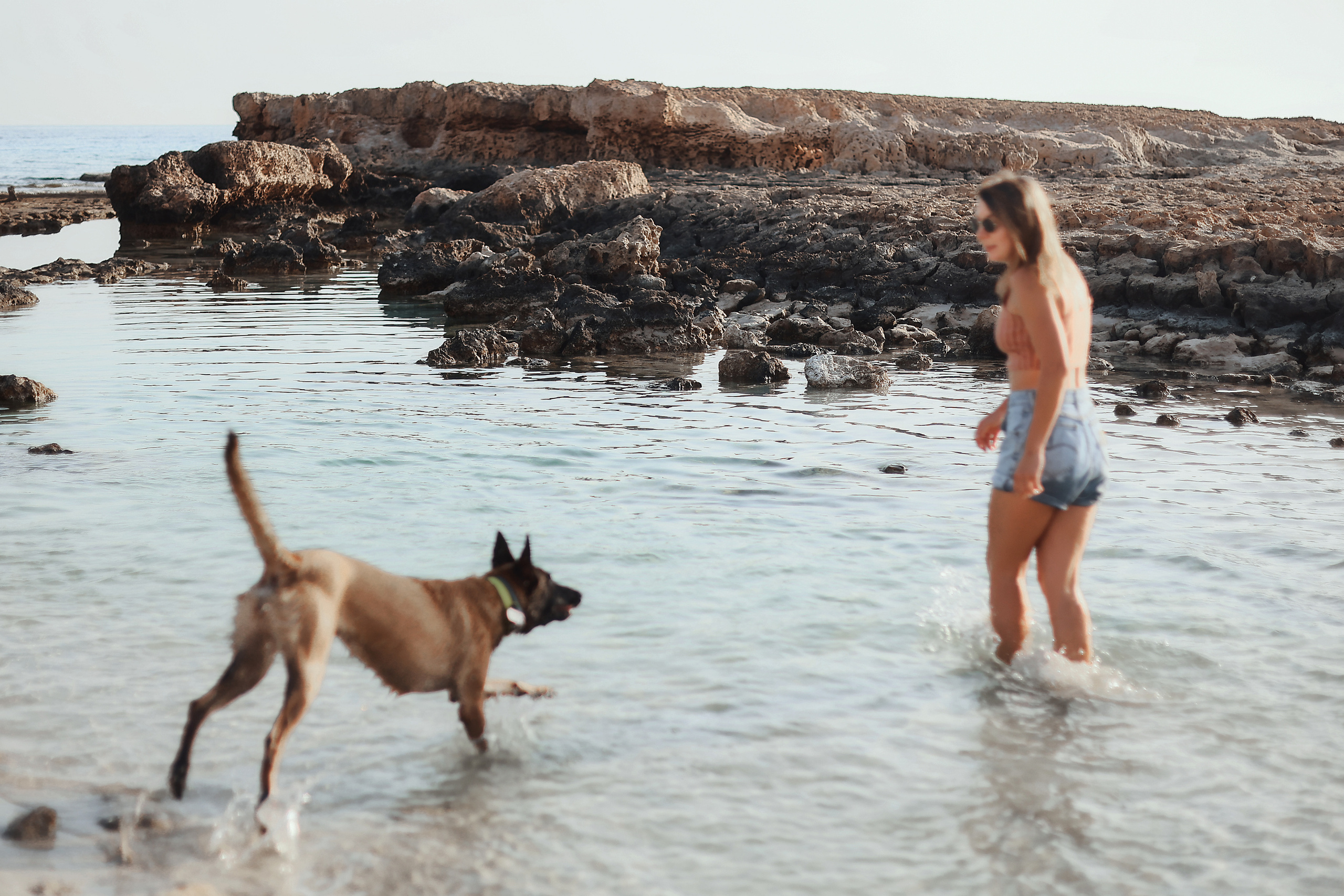 Photoshoot with a pet, Ayia Napa. May, 2022. Home