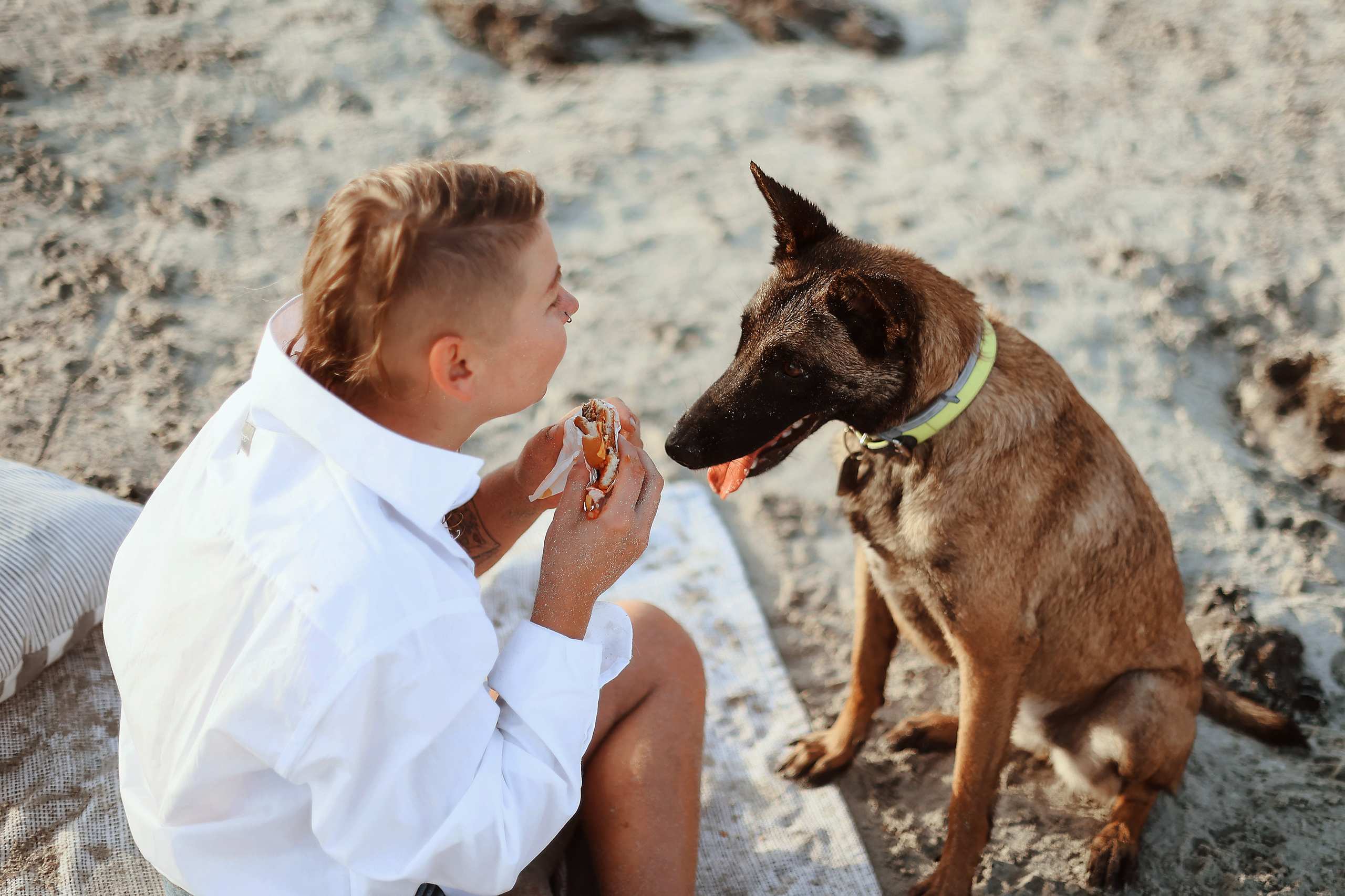Photoshoot with a pet, Ayia Napa. May, 2022. Home