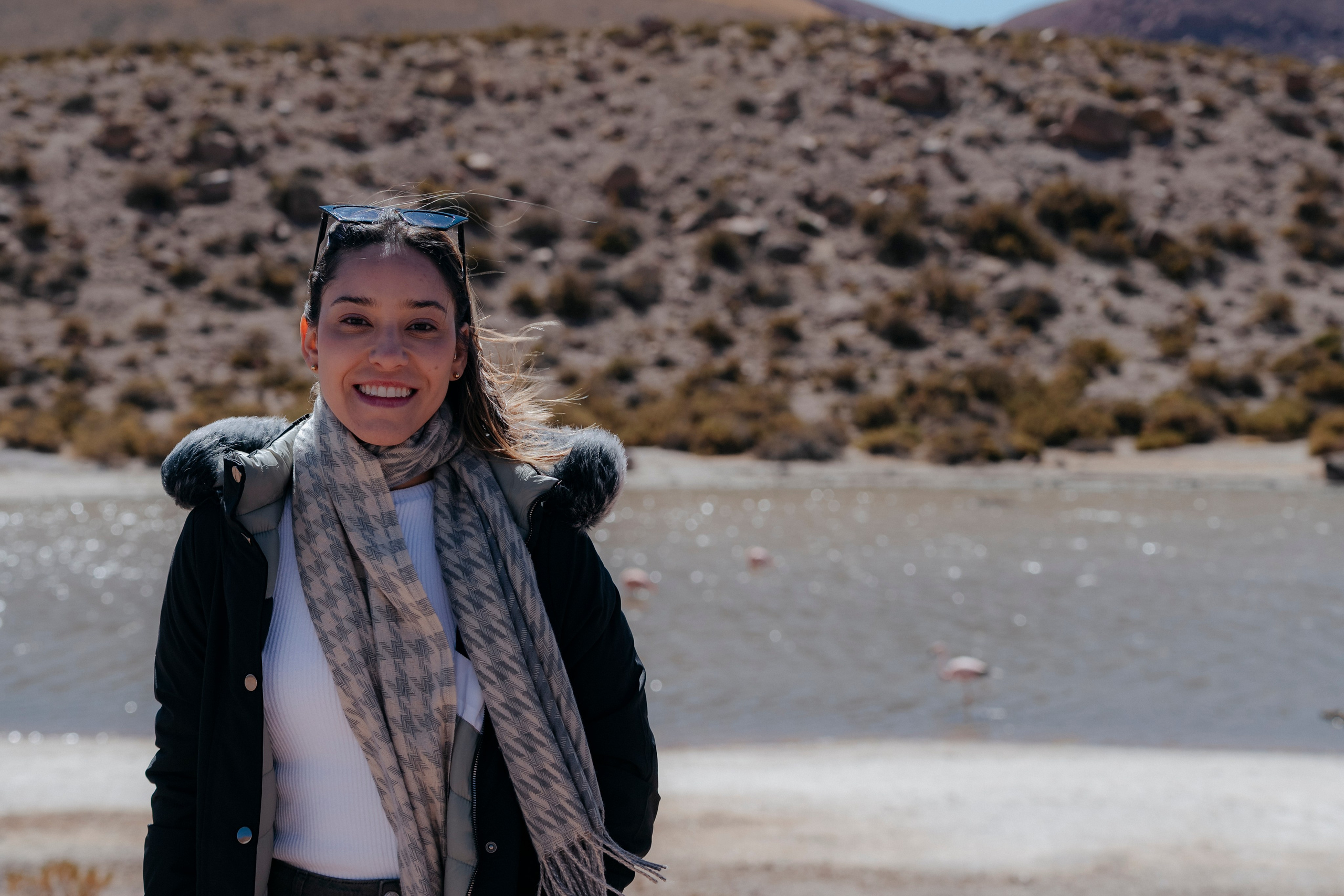 Geyser El Tatio (cobertura en tour privado). Principal