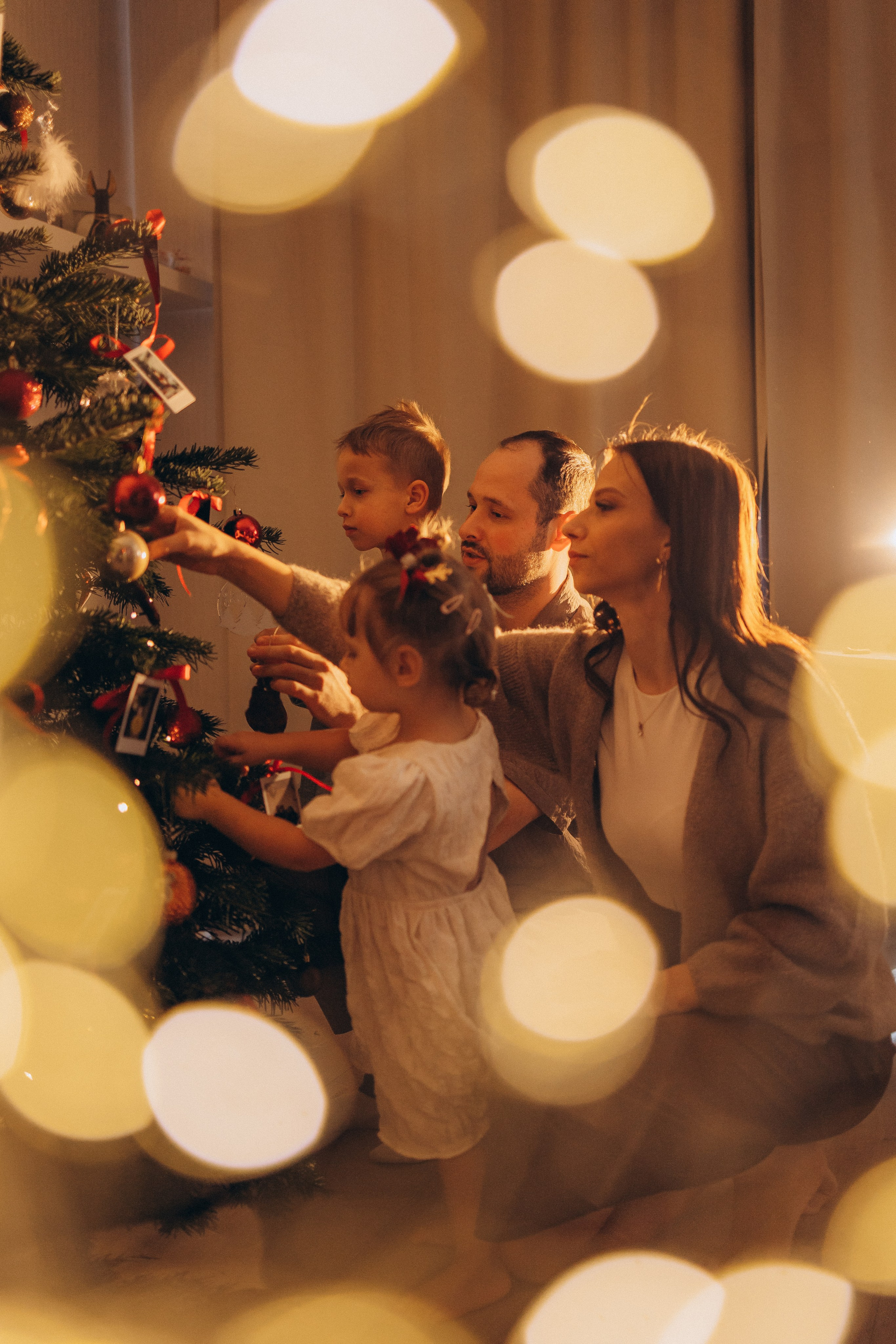 LANAS ģimene. GALVENĀ