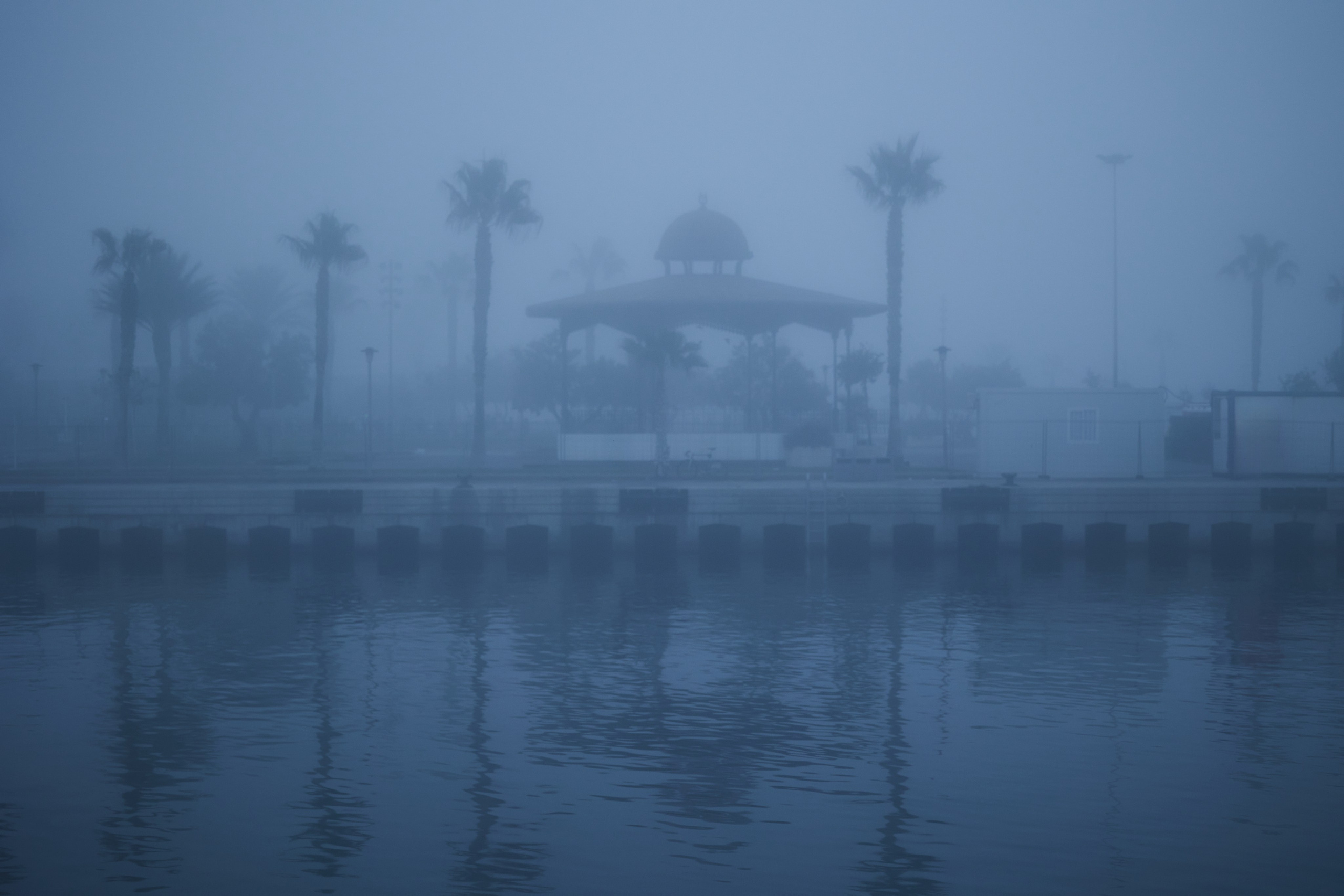 Palmeras y La Pérgola entre niebla densa al atardecer en la Marina Real Juan Carlos I, Valencia