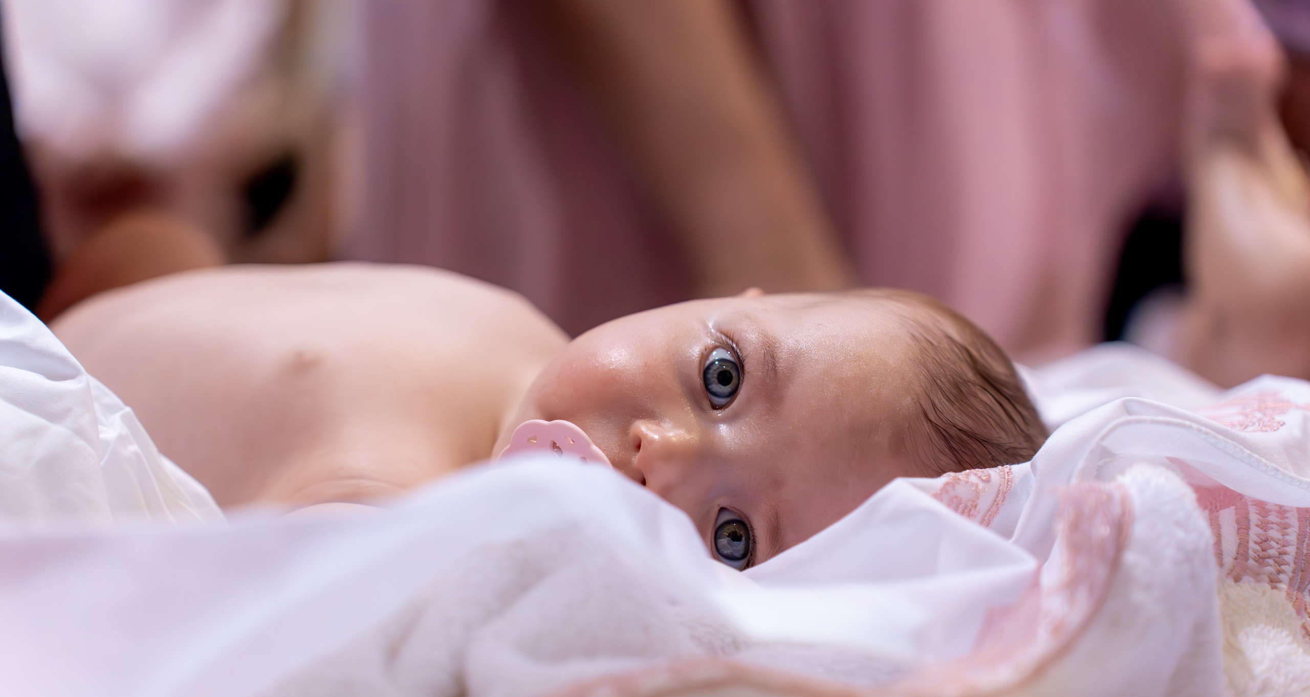 ✨ Portofoliu Botez ✨. Murgeanulucian