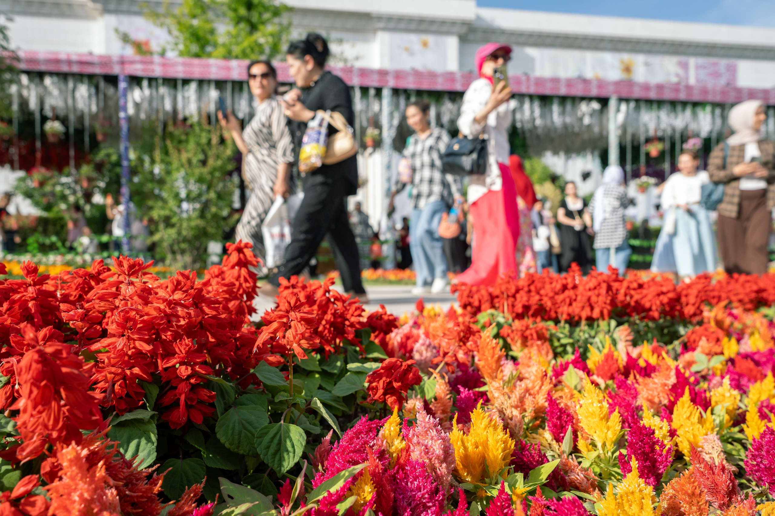 Flower Fest 2026